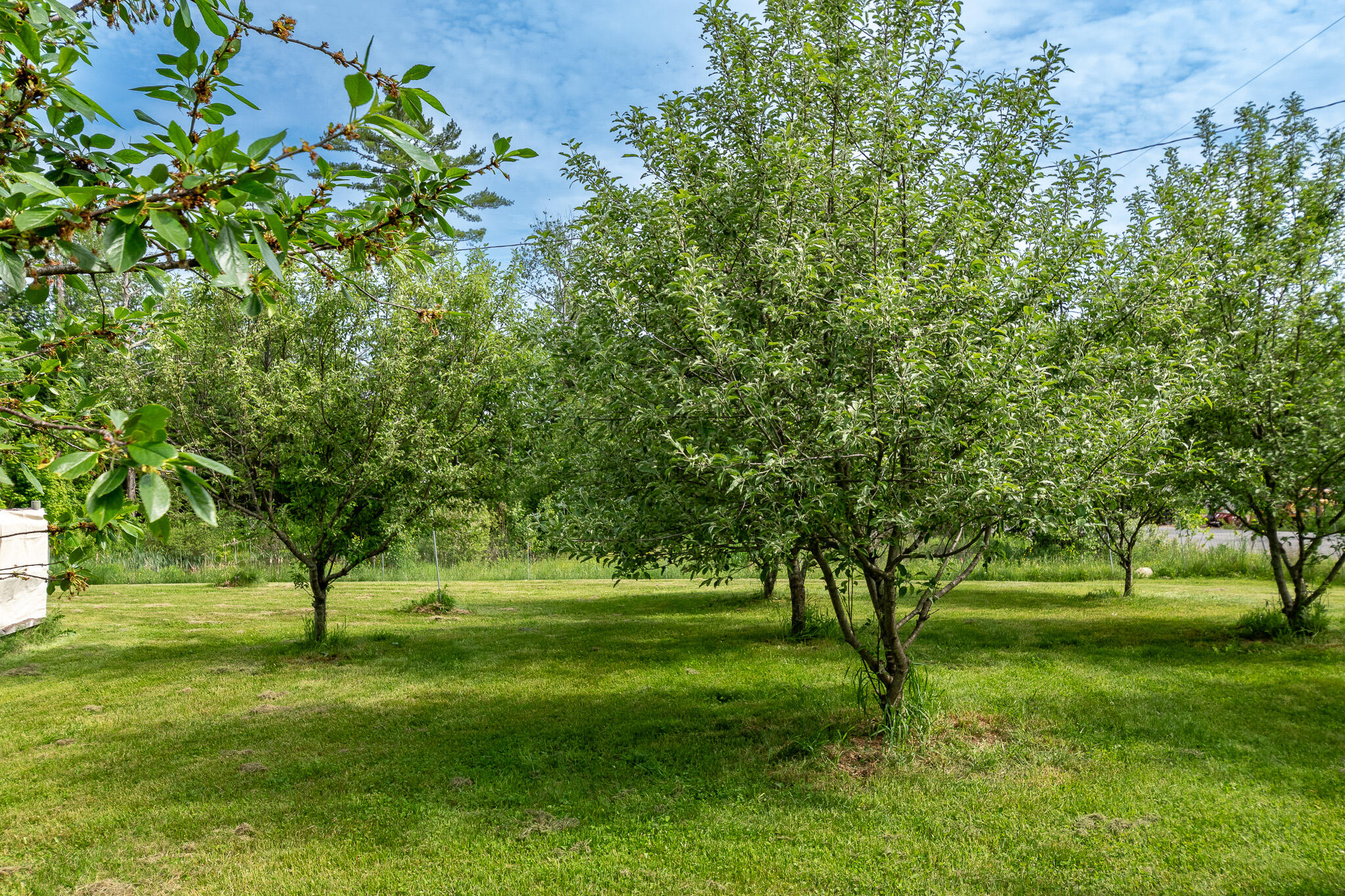 main property photo 76