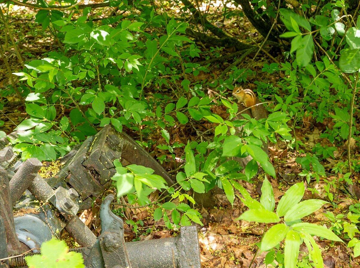 main property photo 36