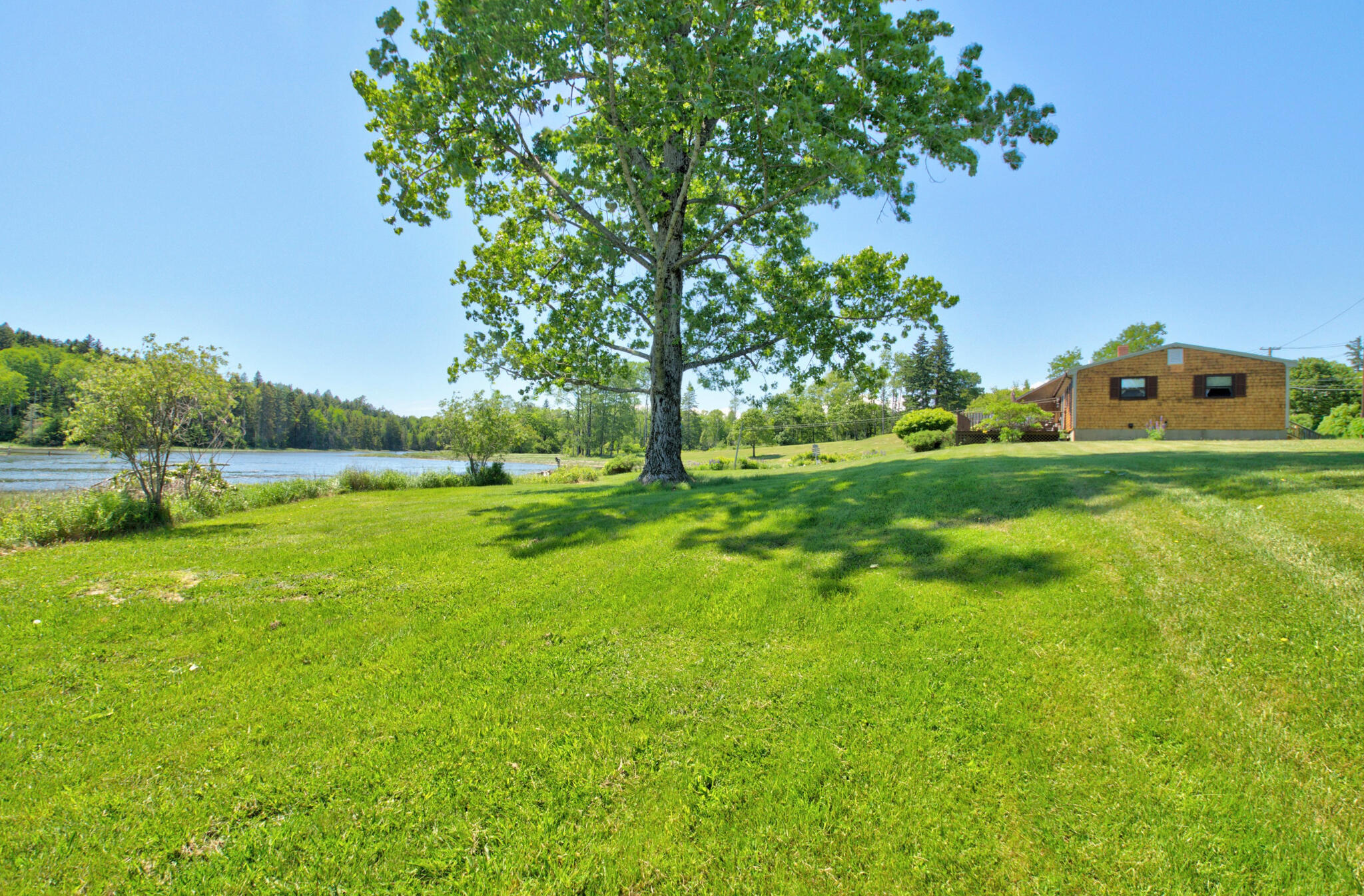 main property photo 63