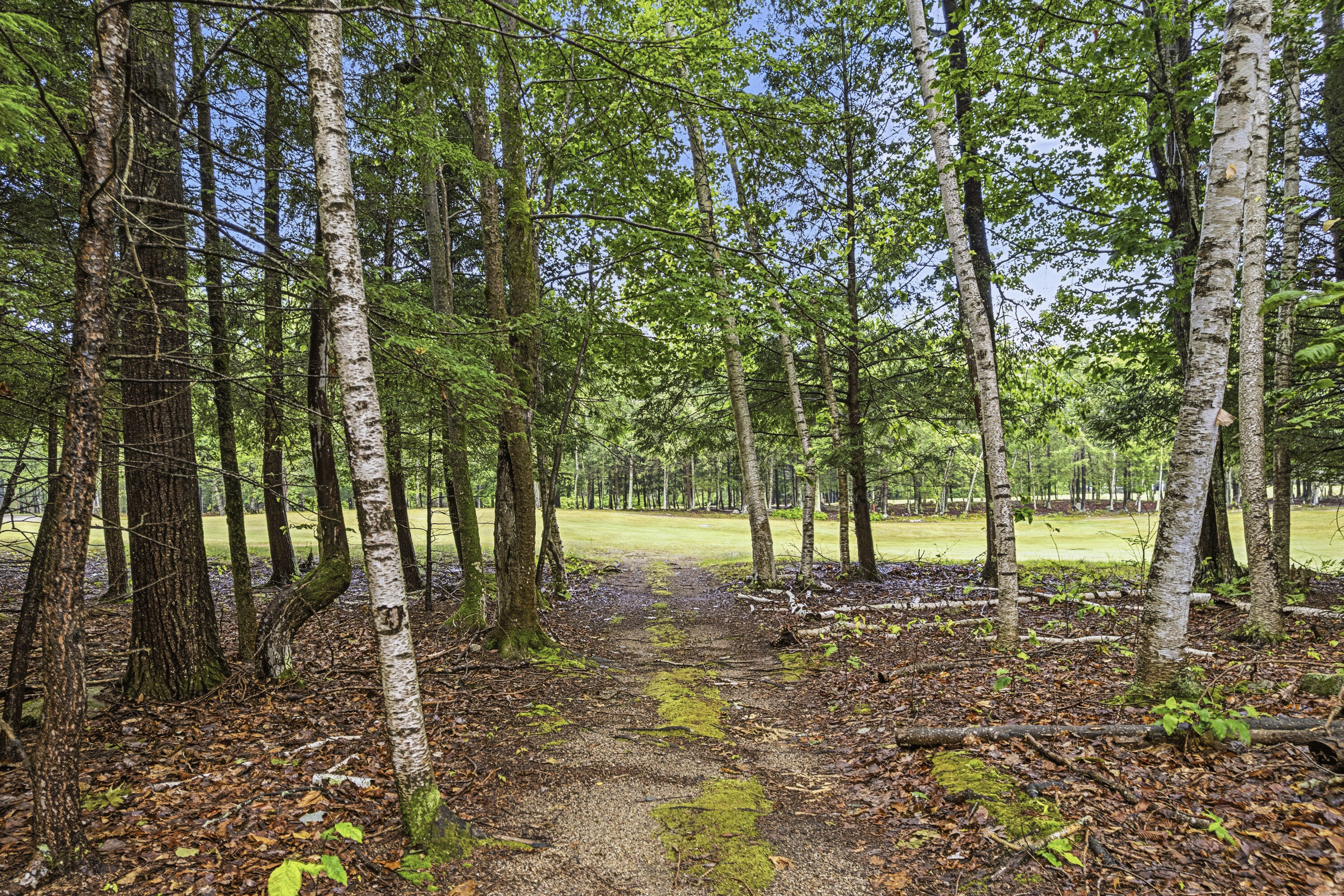 main property photo 57