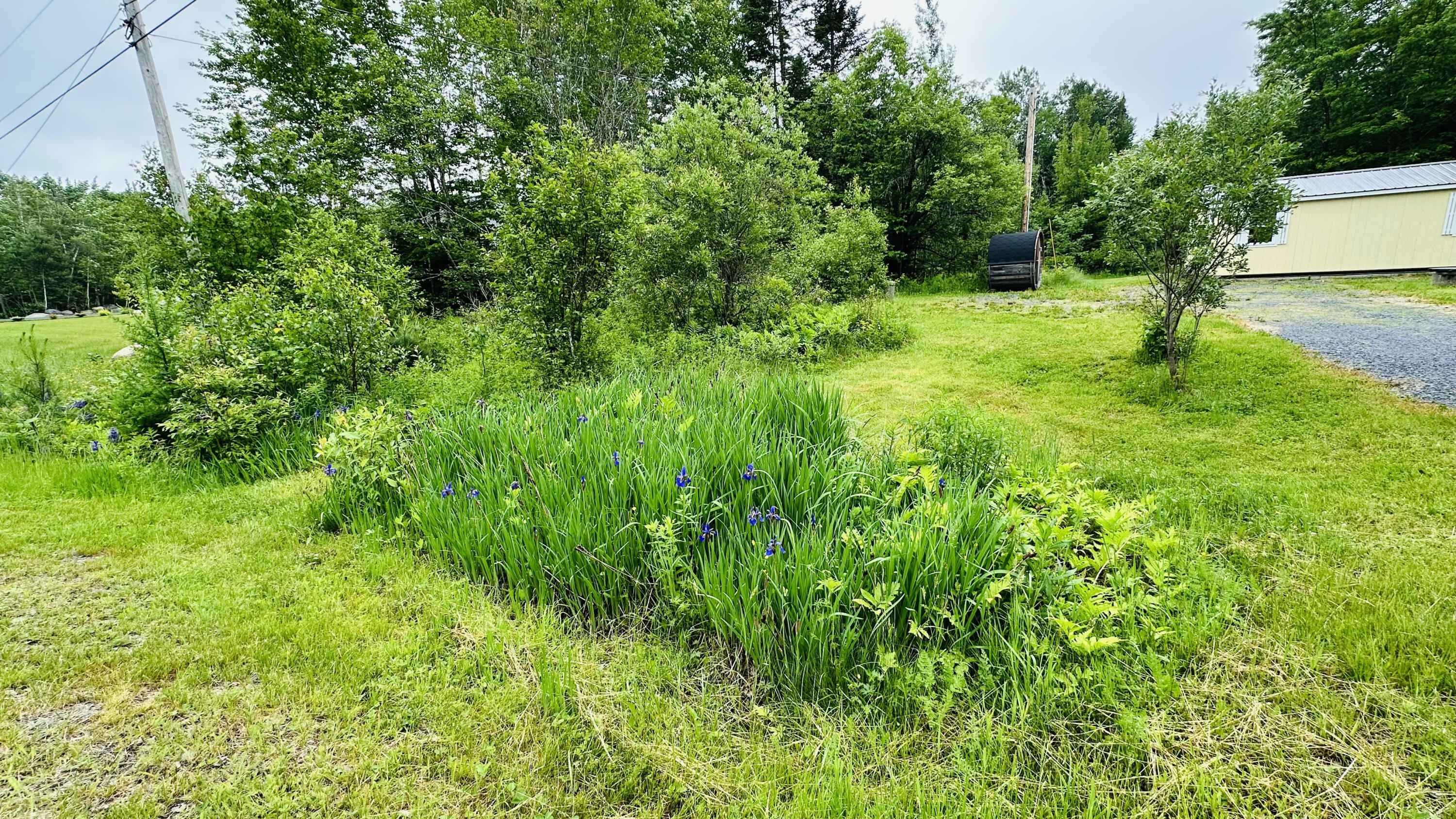 main property photo 46
