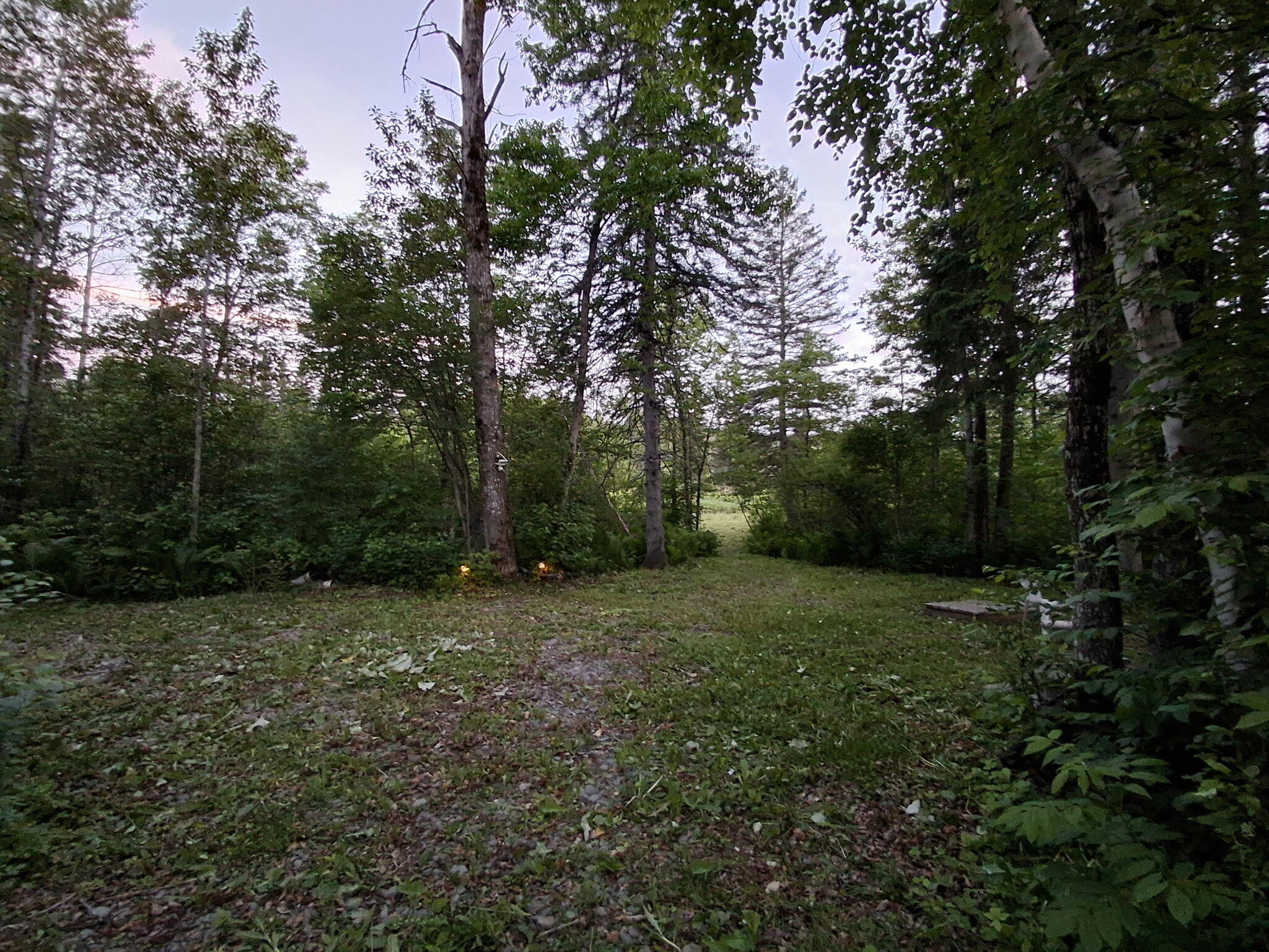 main property photo 46