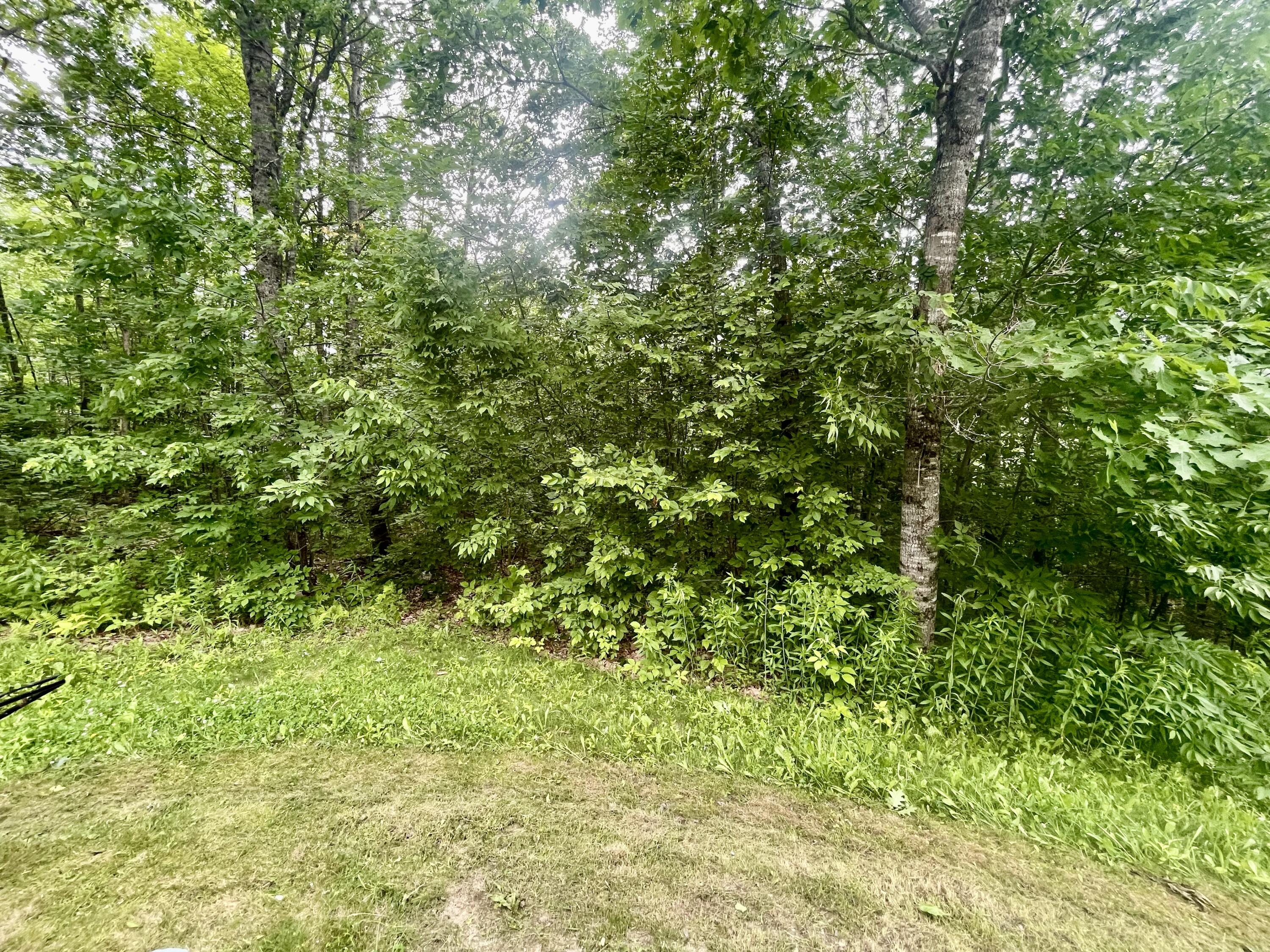 main property photo 54