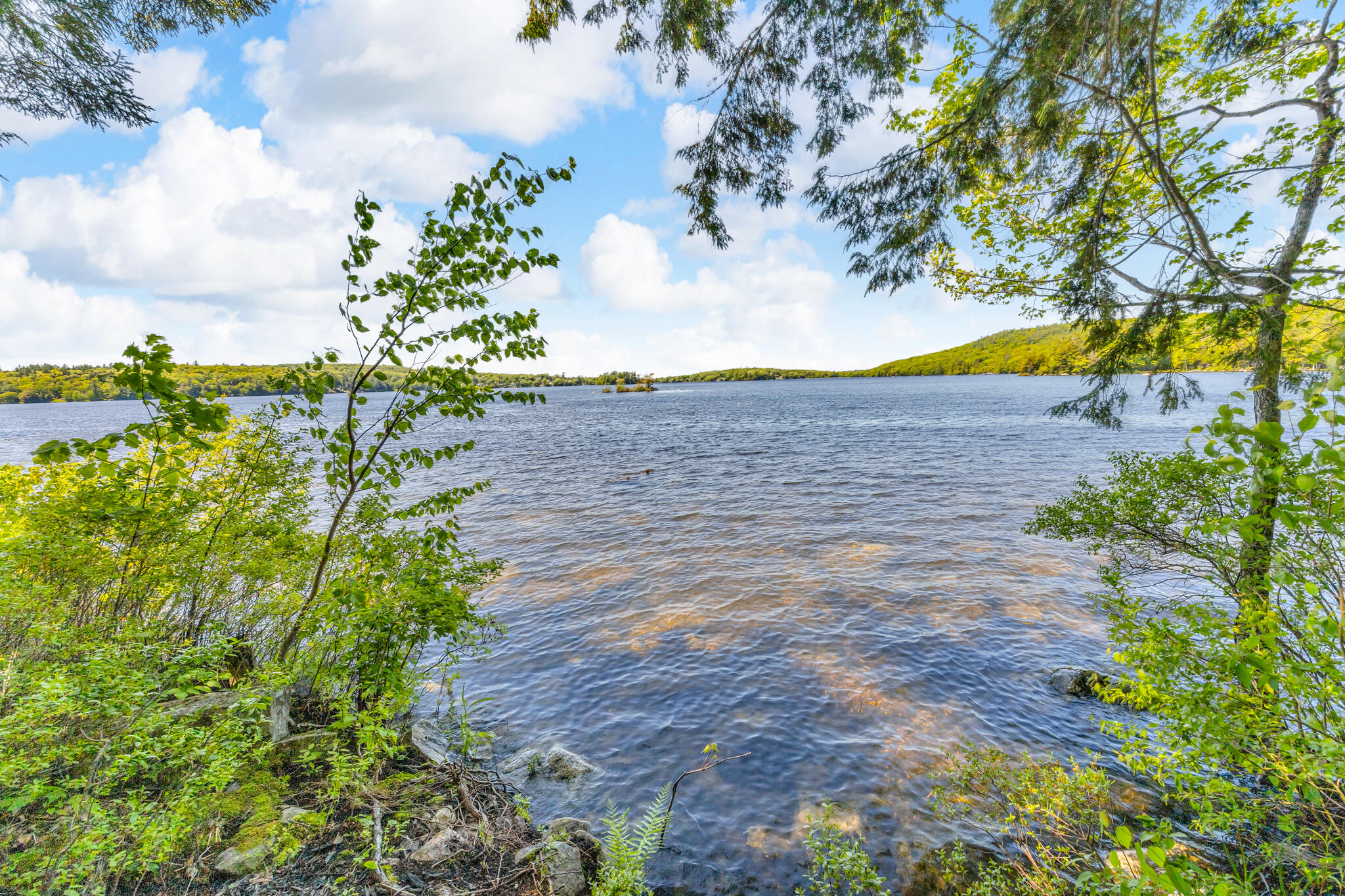 main property photo 45