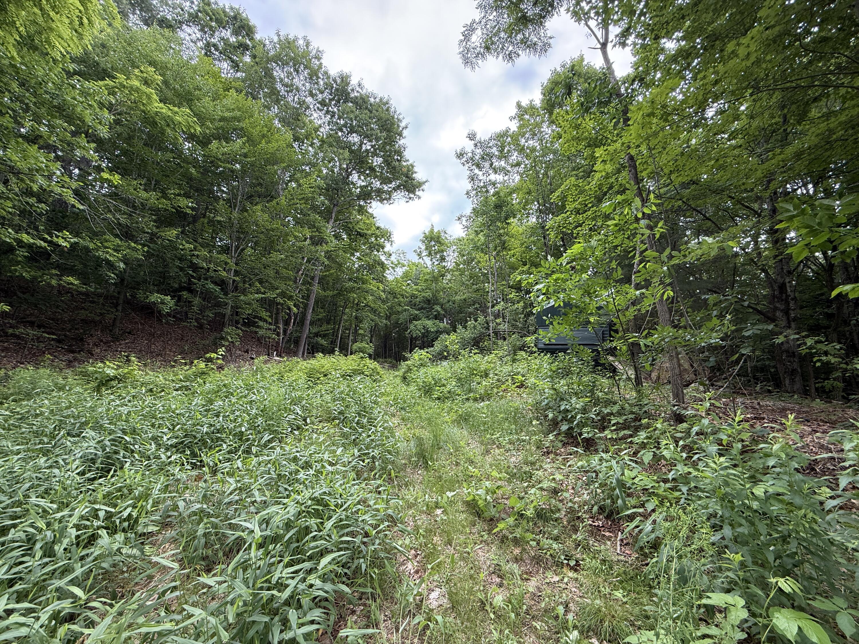 main property photo 33