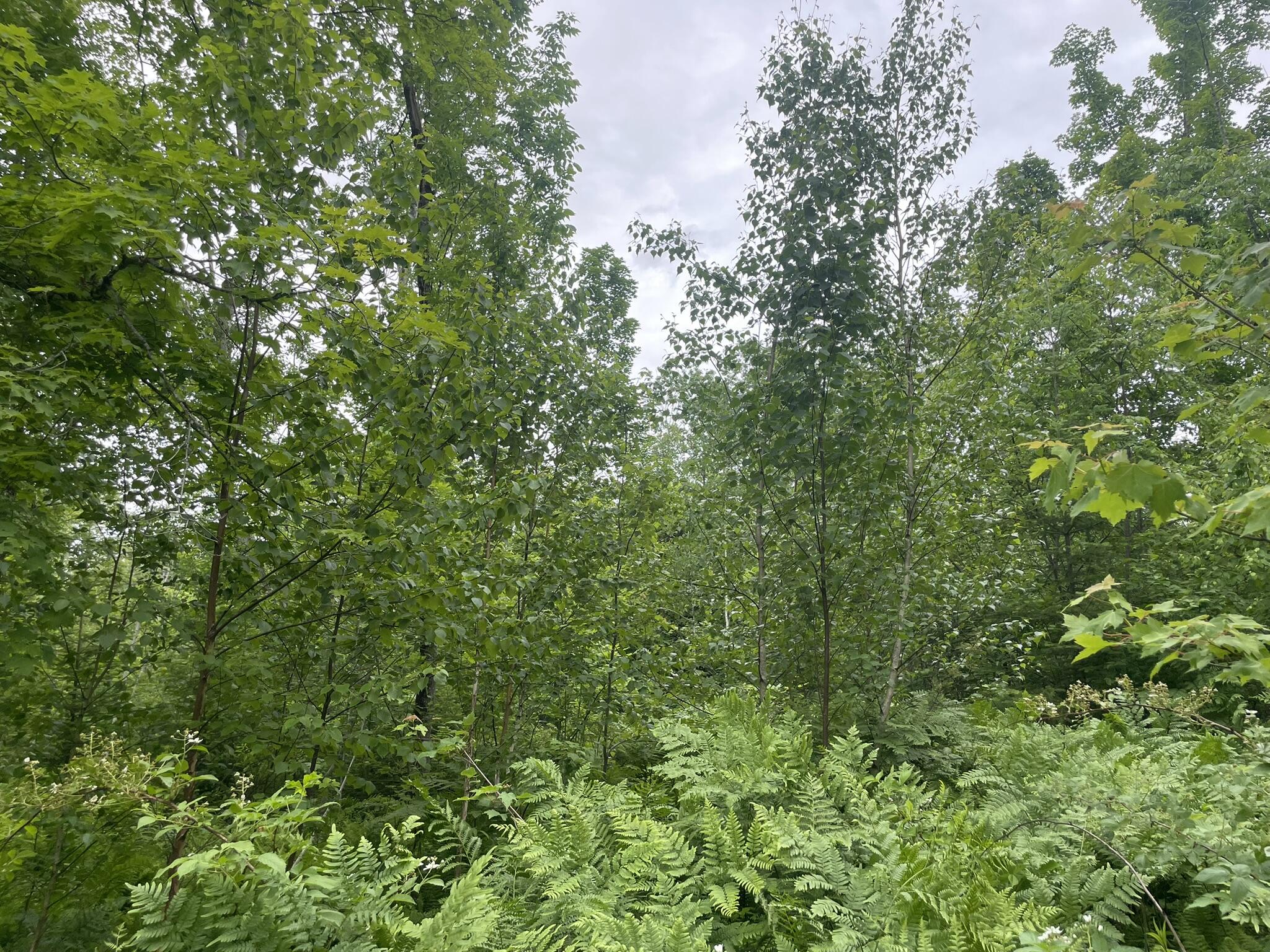 main property photo 102