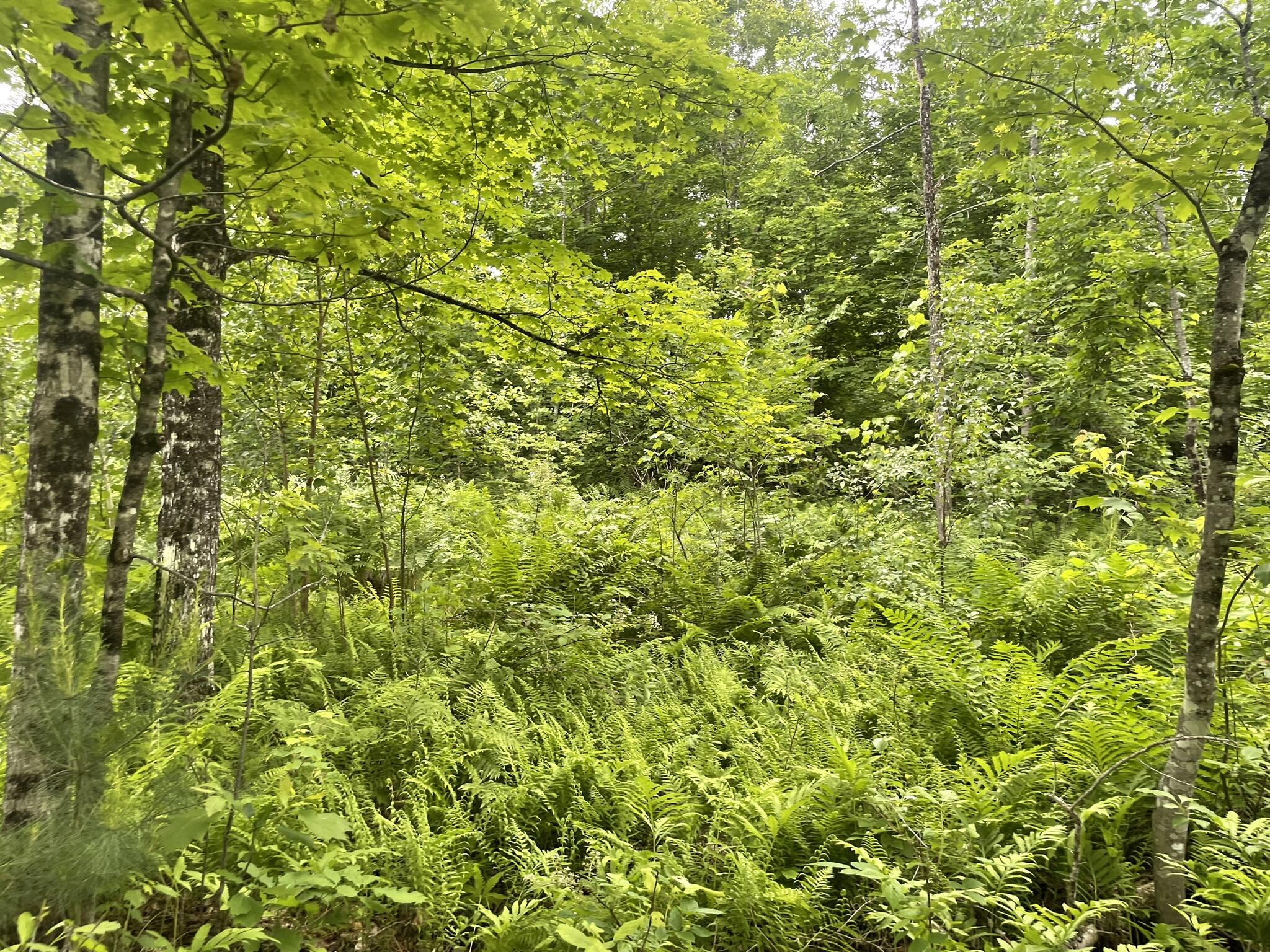 main property photo 104