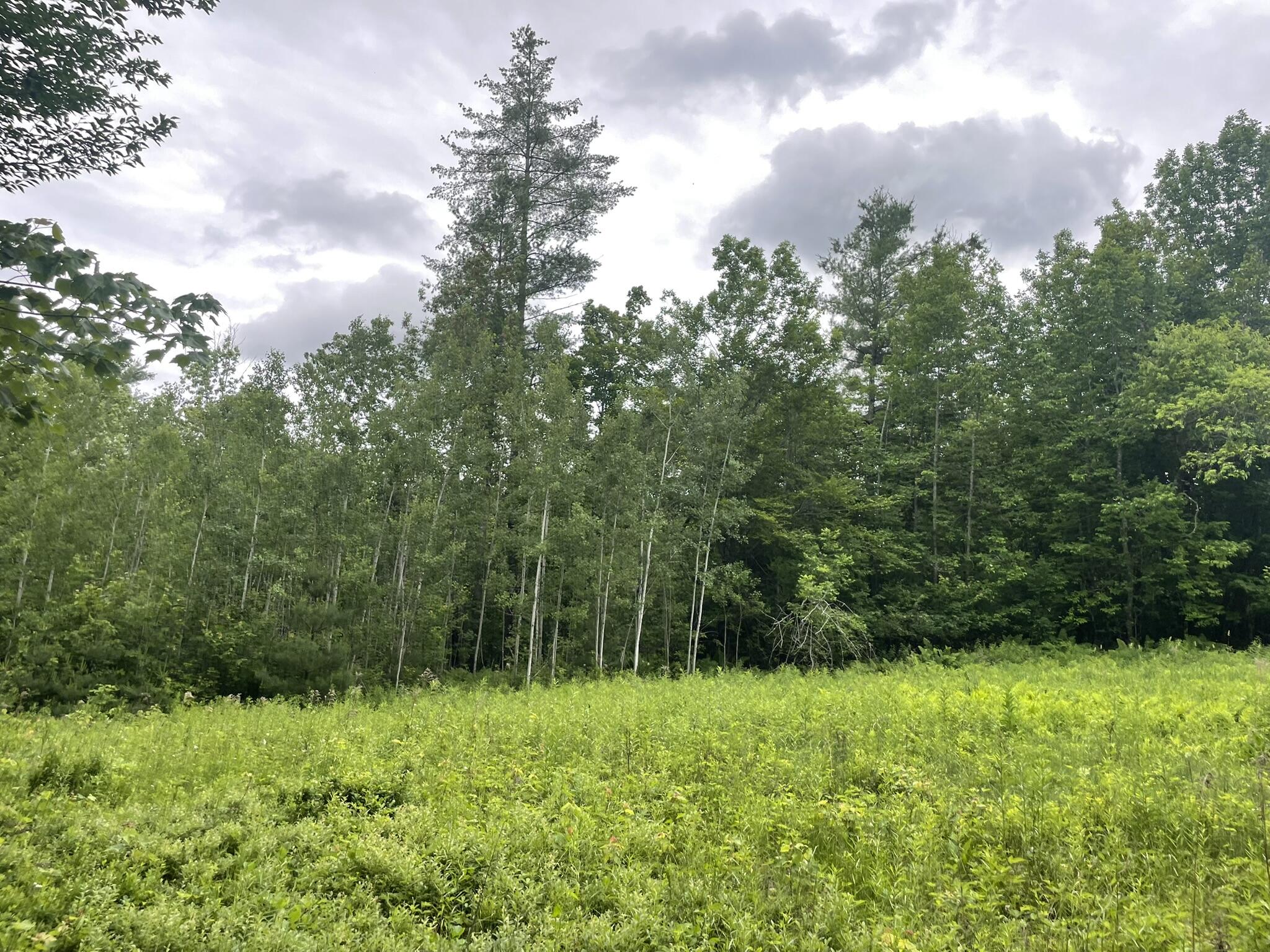 main property photo 108