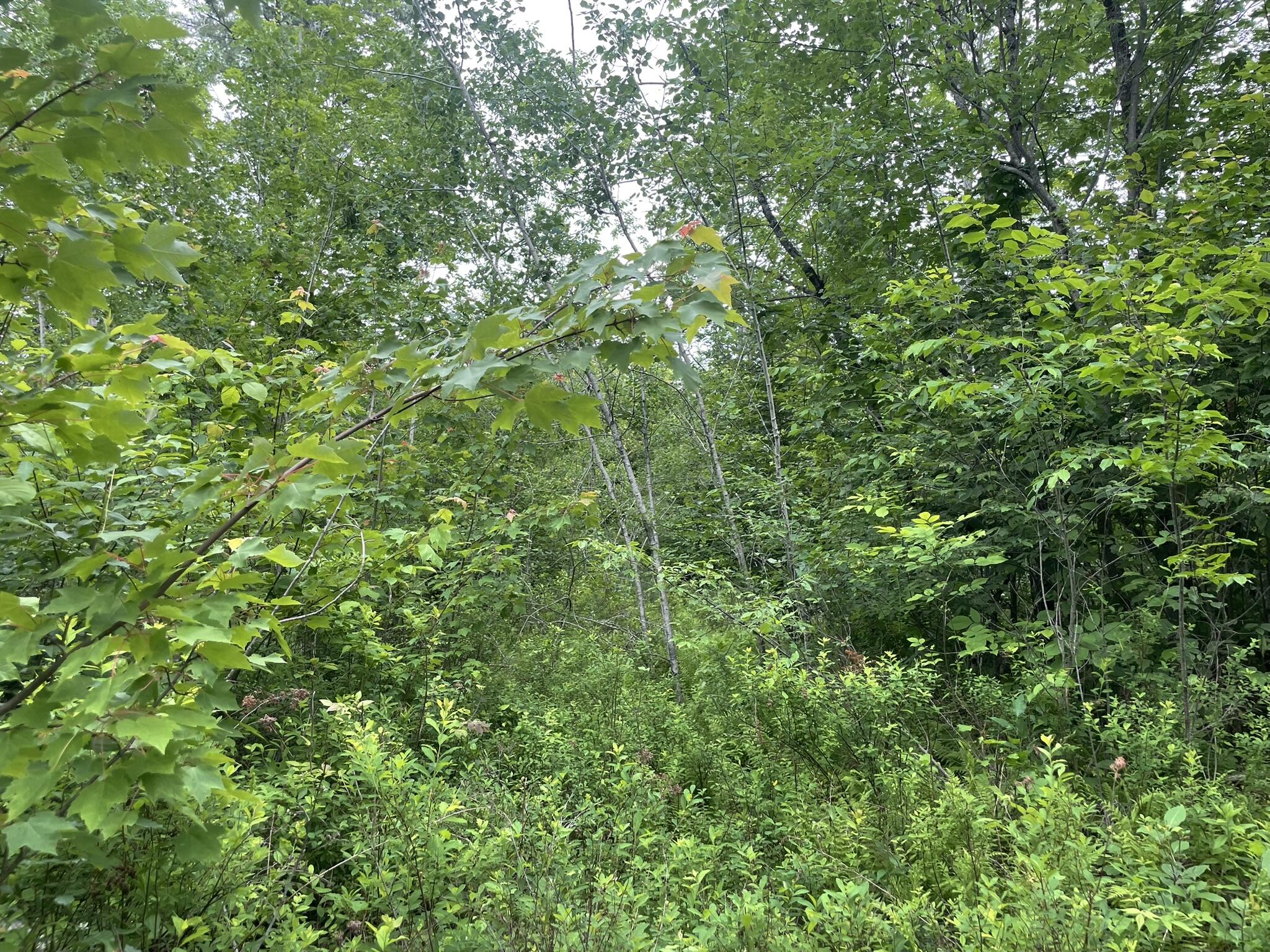 main property photo 116
