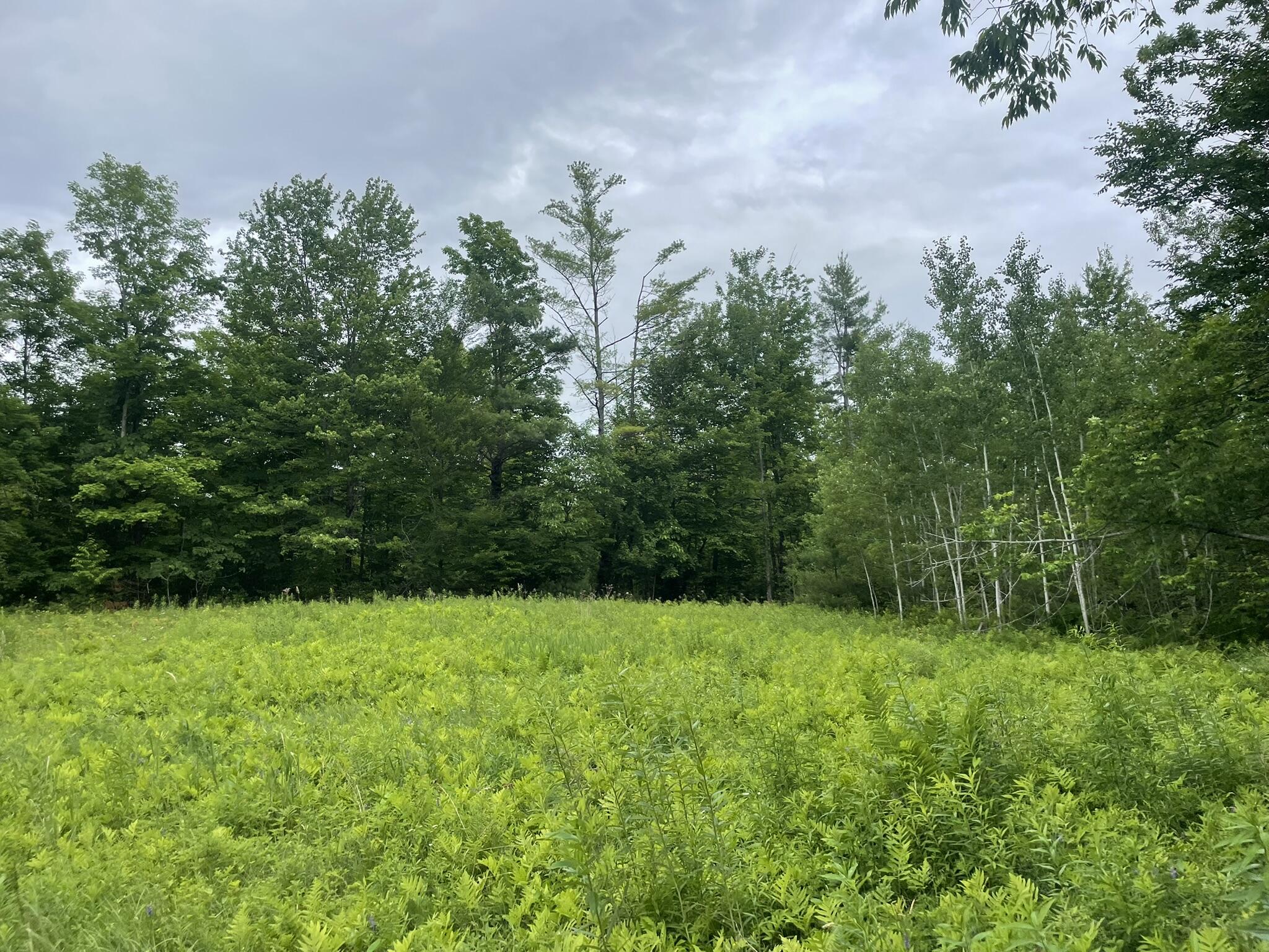 main property photo 89