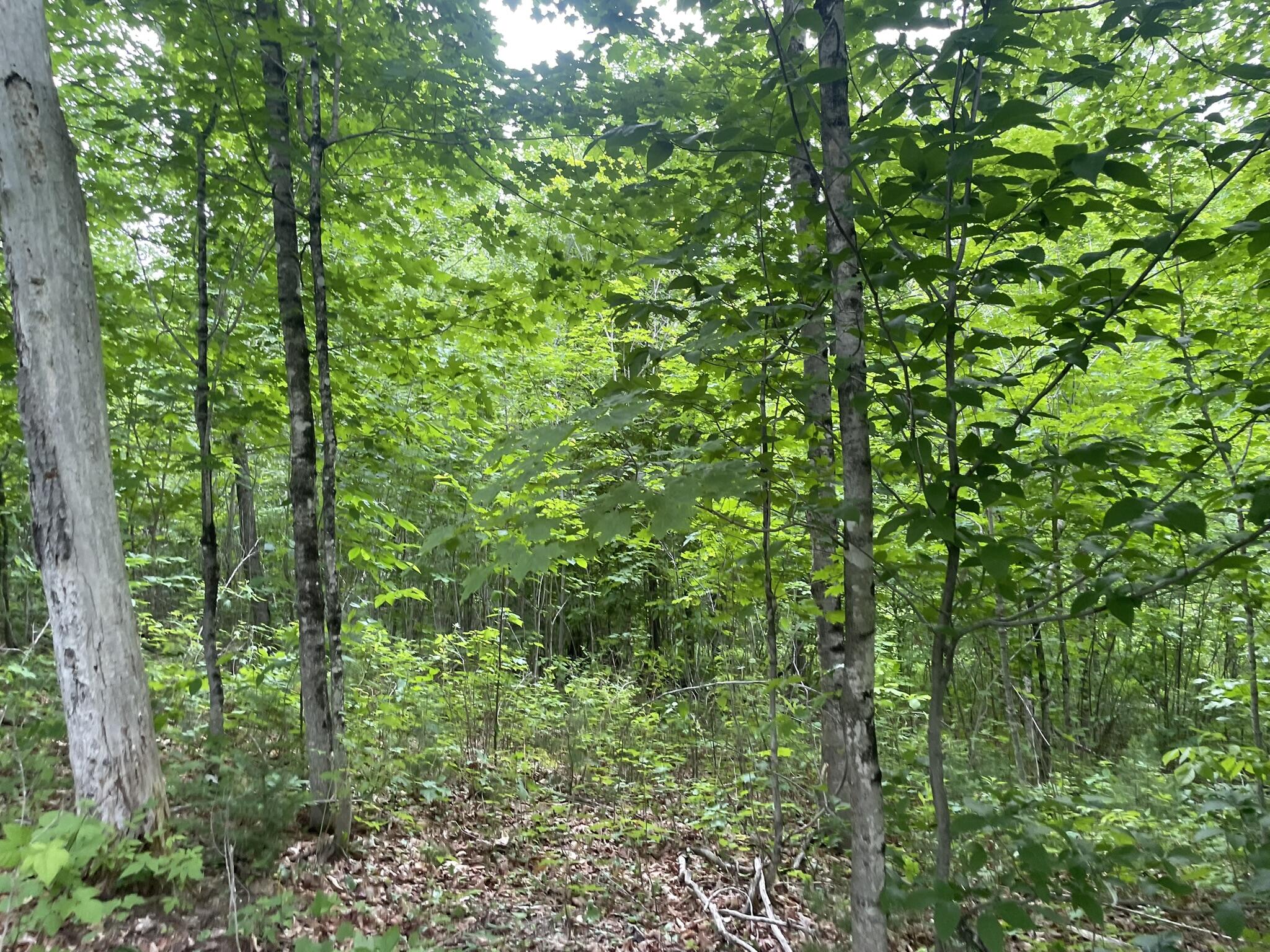 main property photo 93