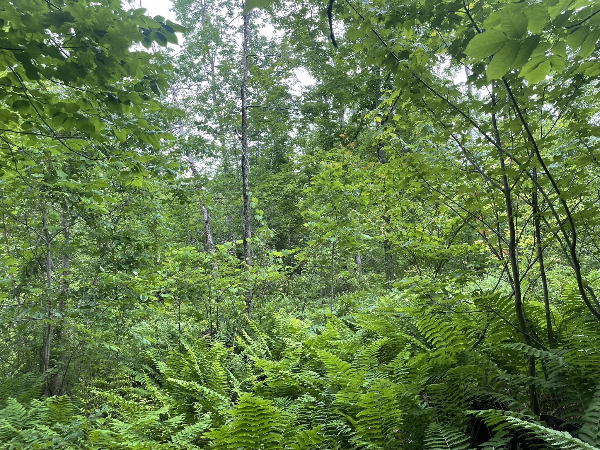main property photo 95