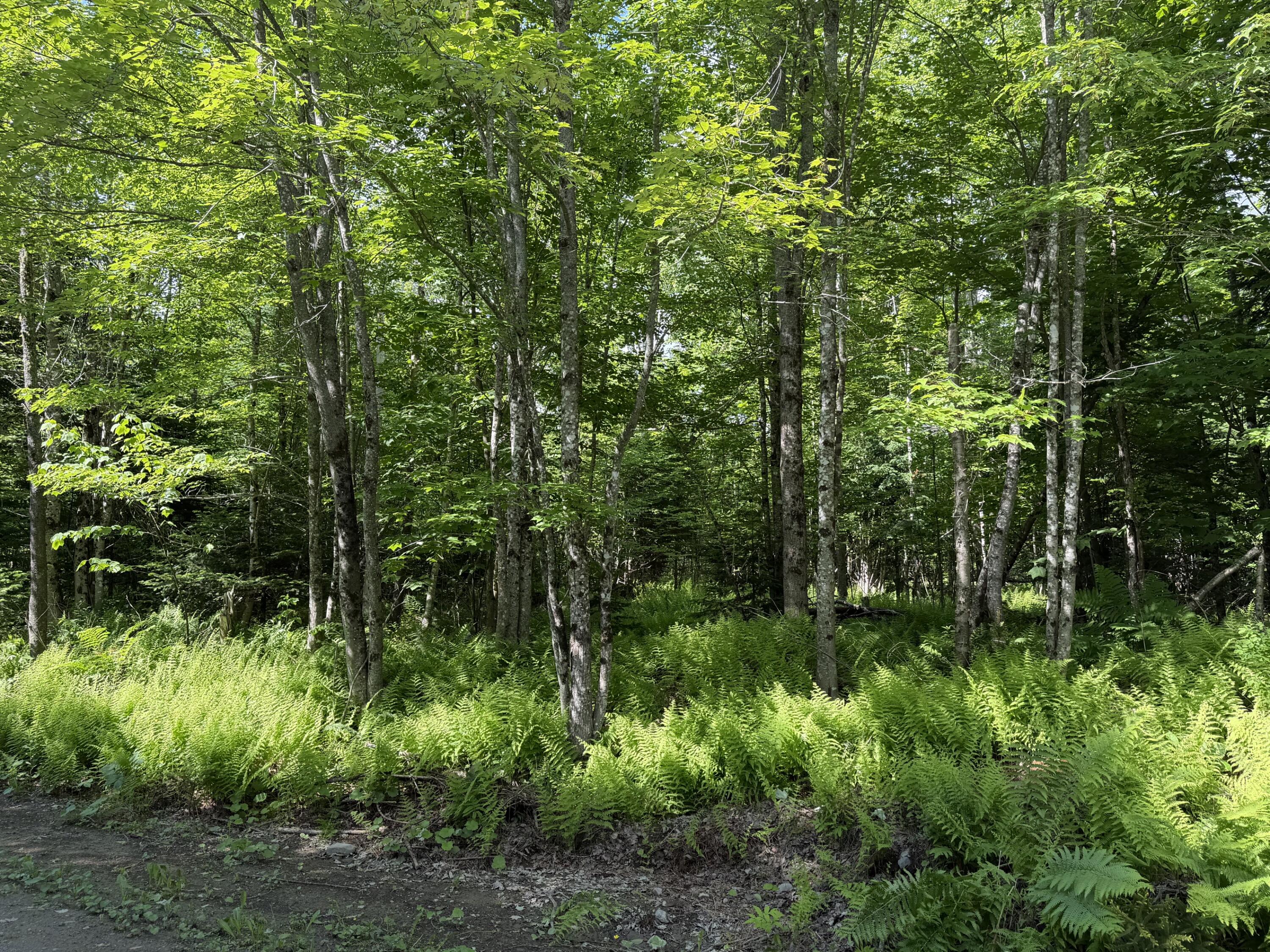 main property photo 10