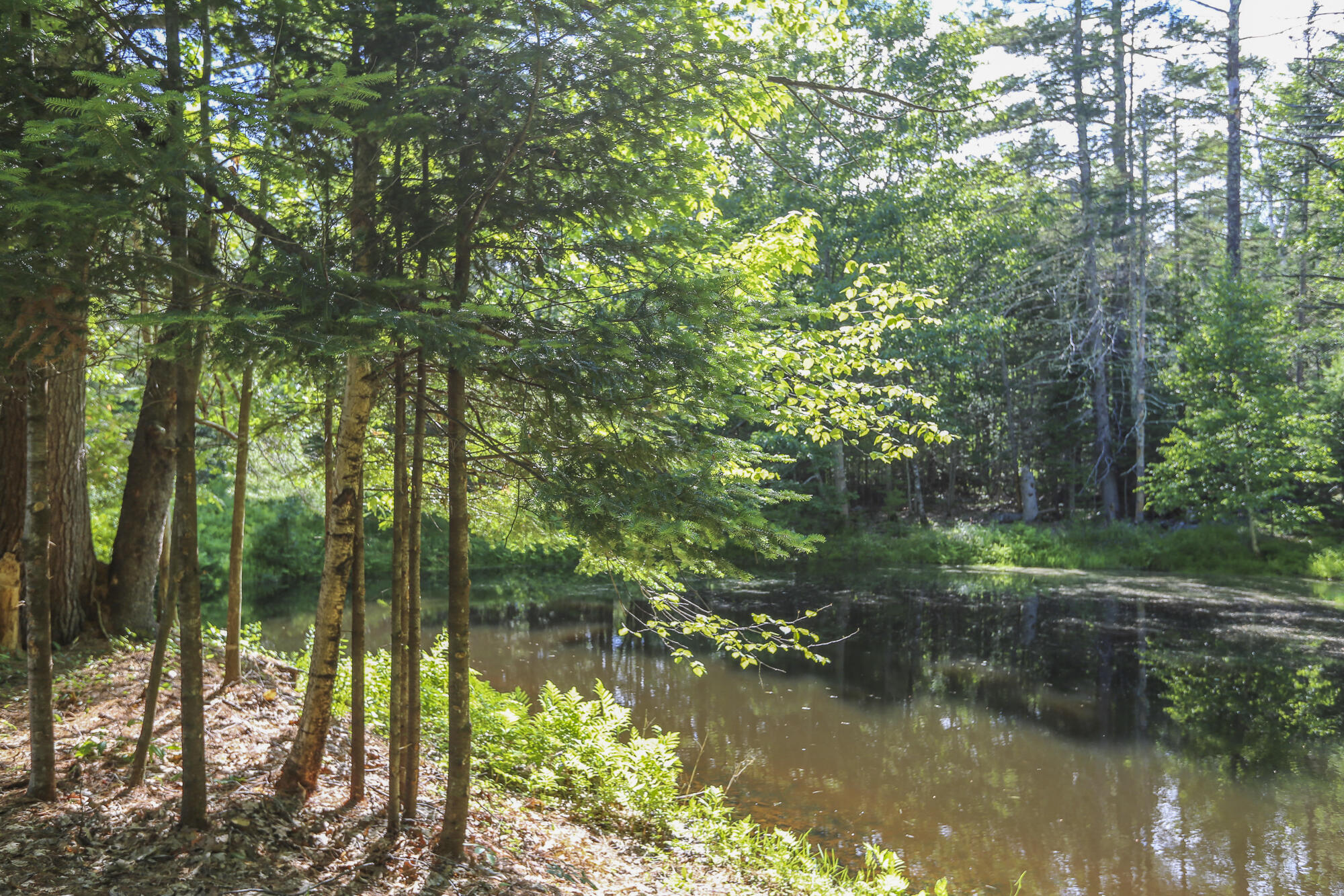 main property photo 48