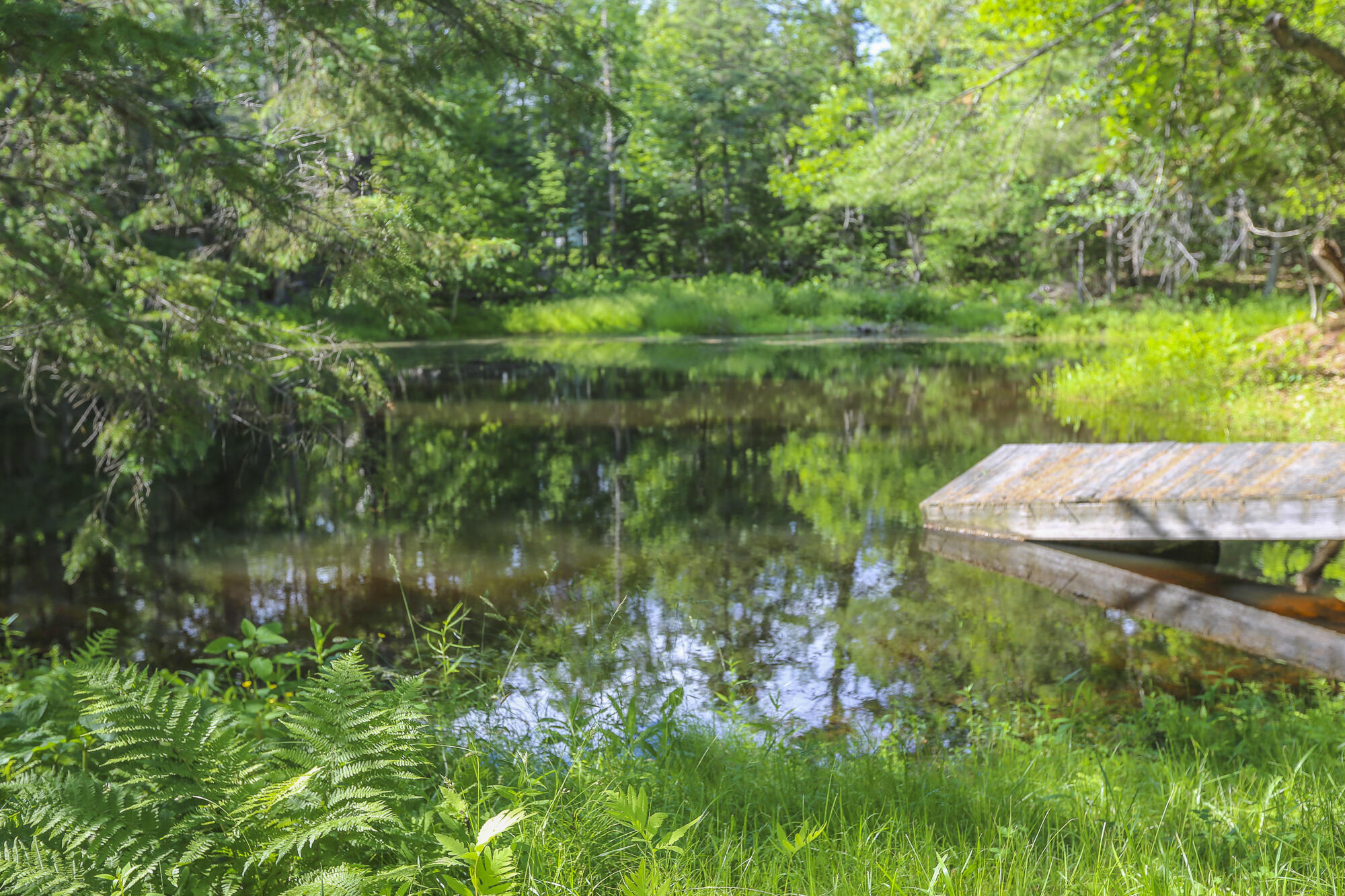 main property photo 50
