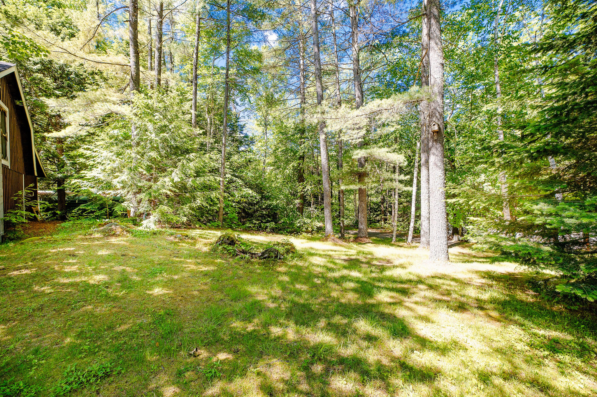 main property photo 58