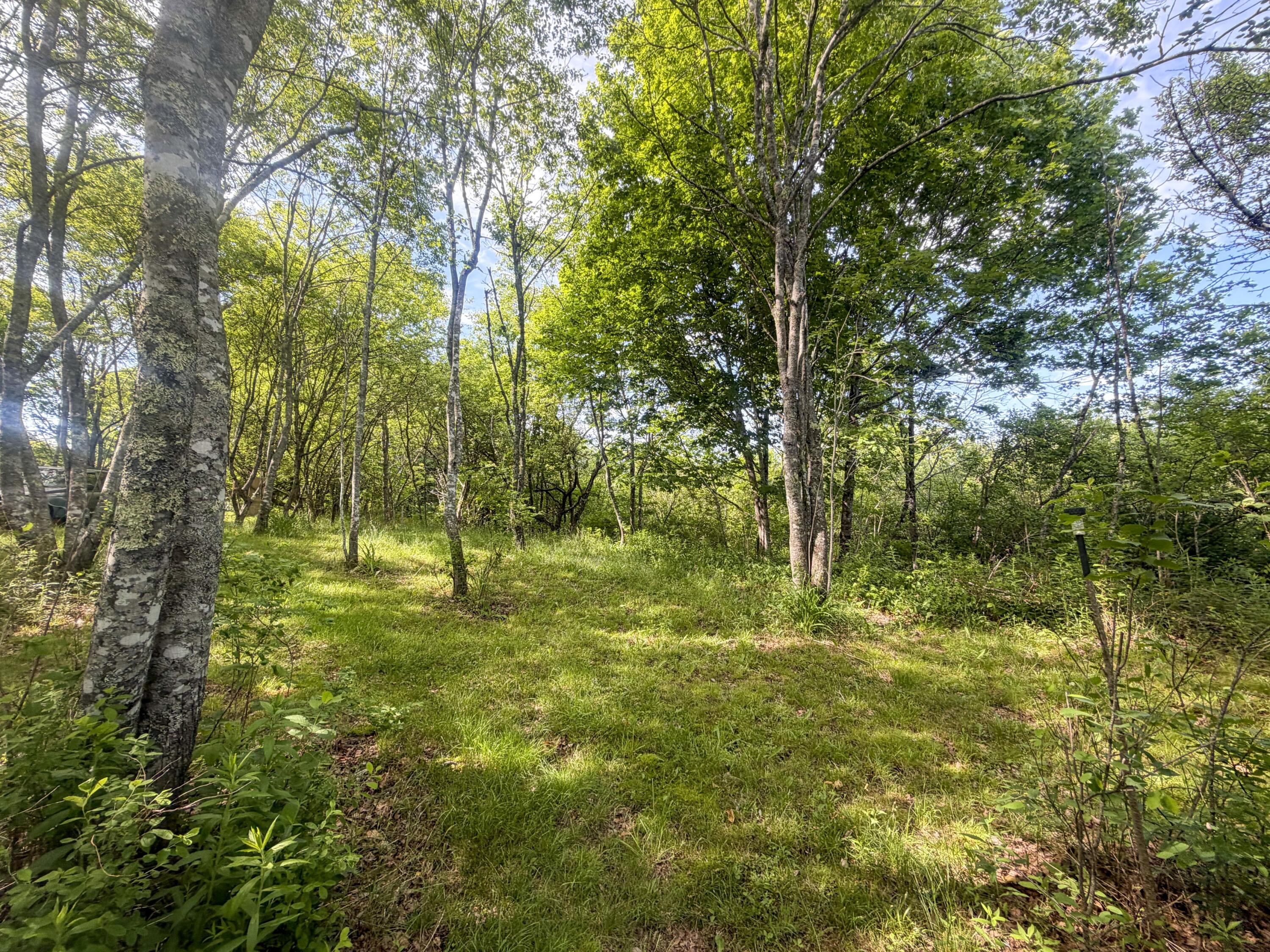 main property photo 14
