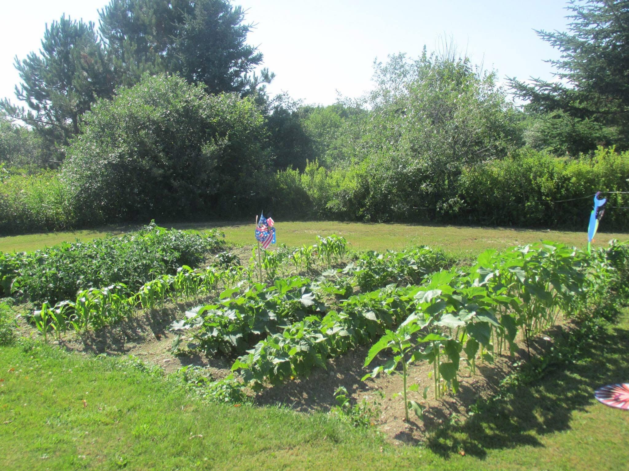 main property photo 22