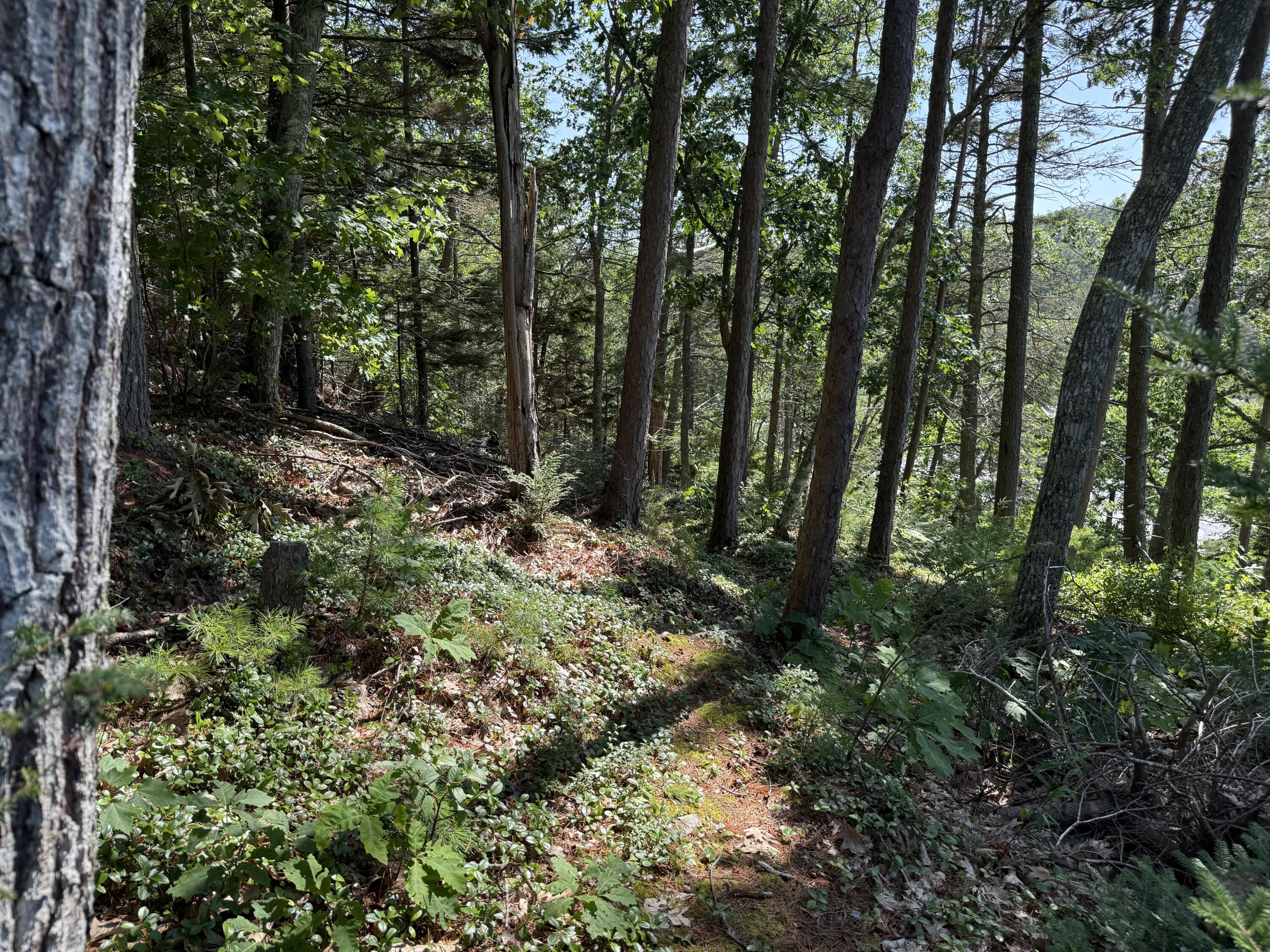 main property photo 66