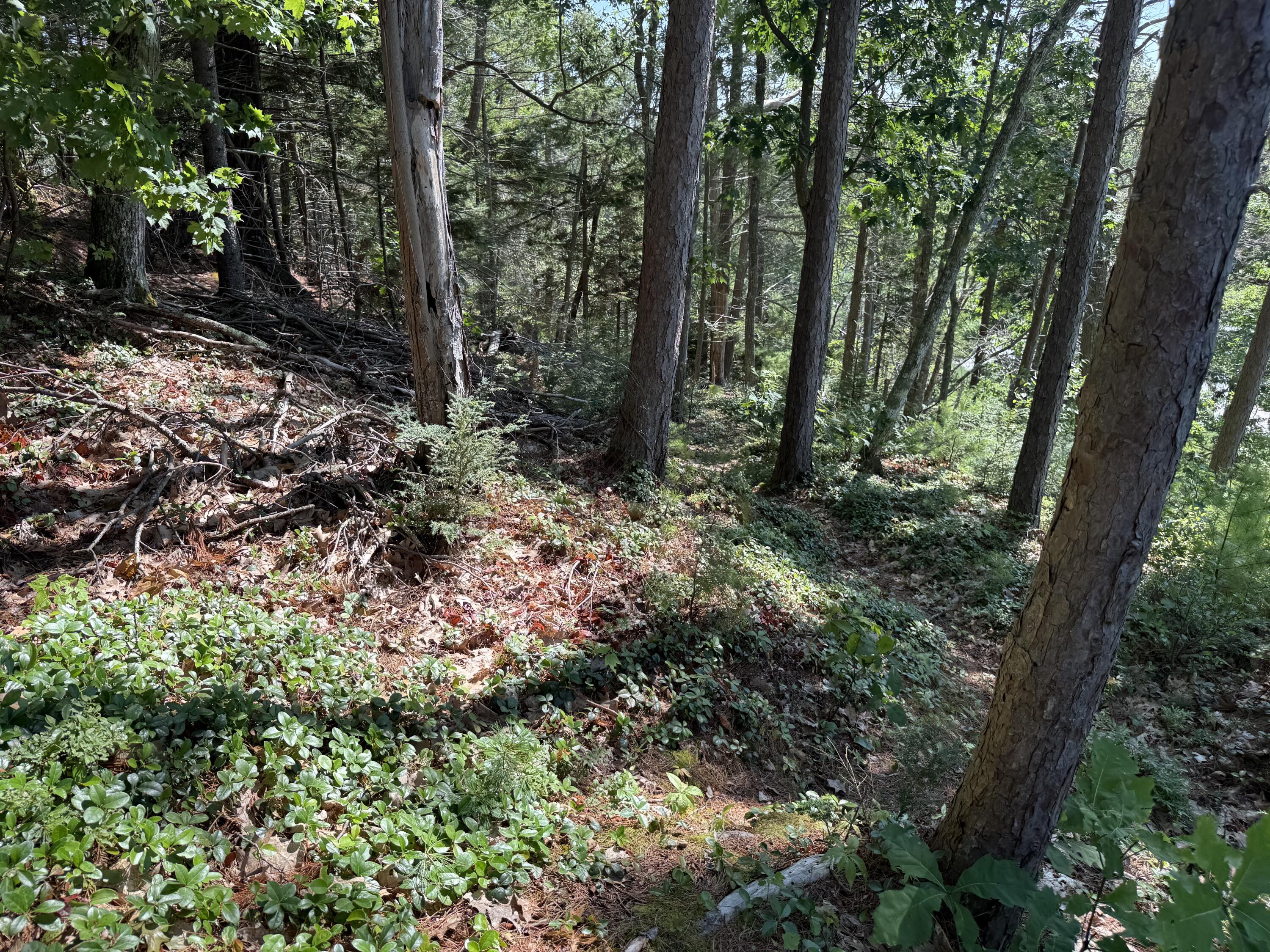 main property photo 72