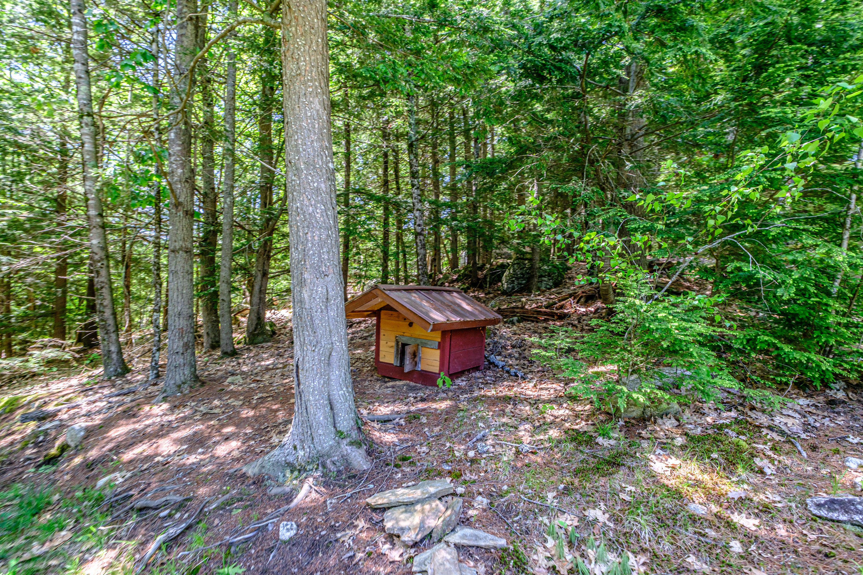 main property photo 56