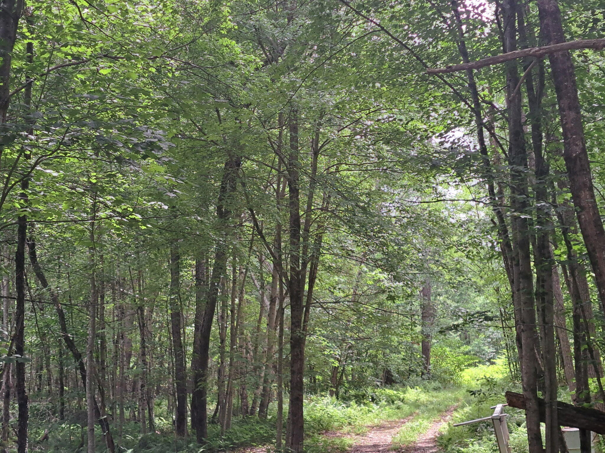 main property photo 24