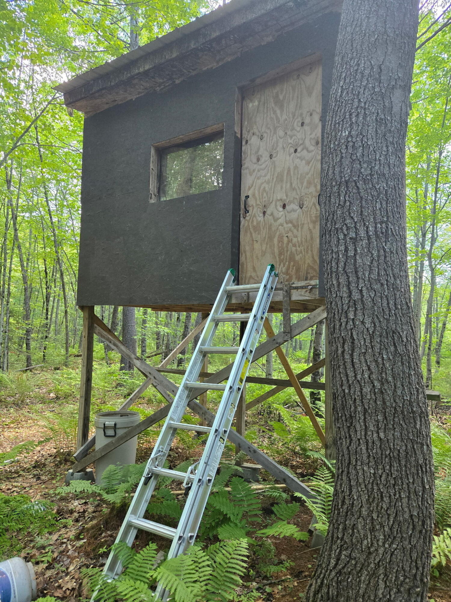 main property photo 7