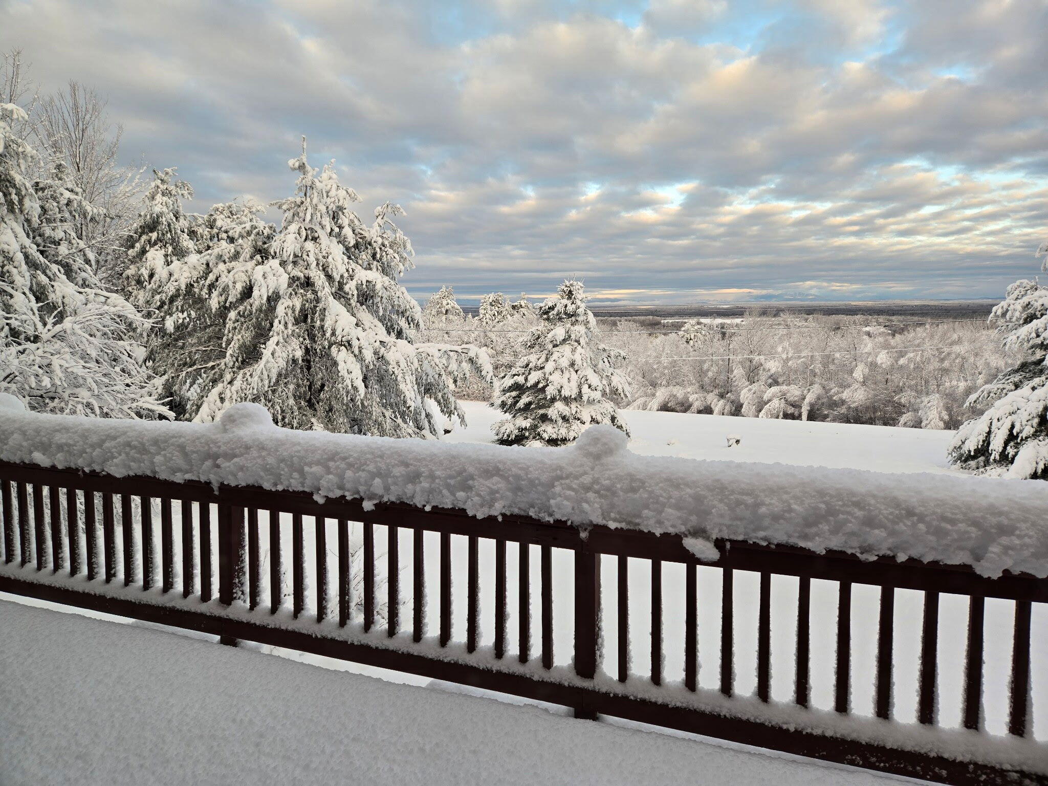main property photo 61