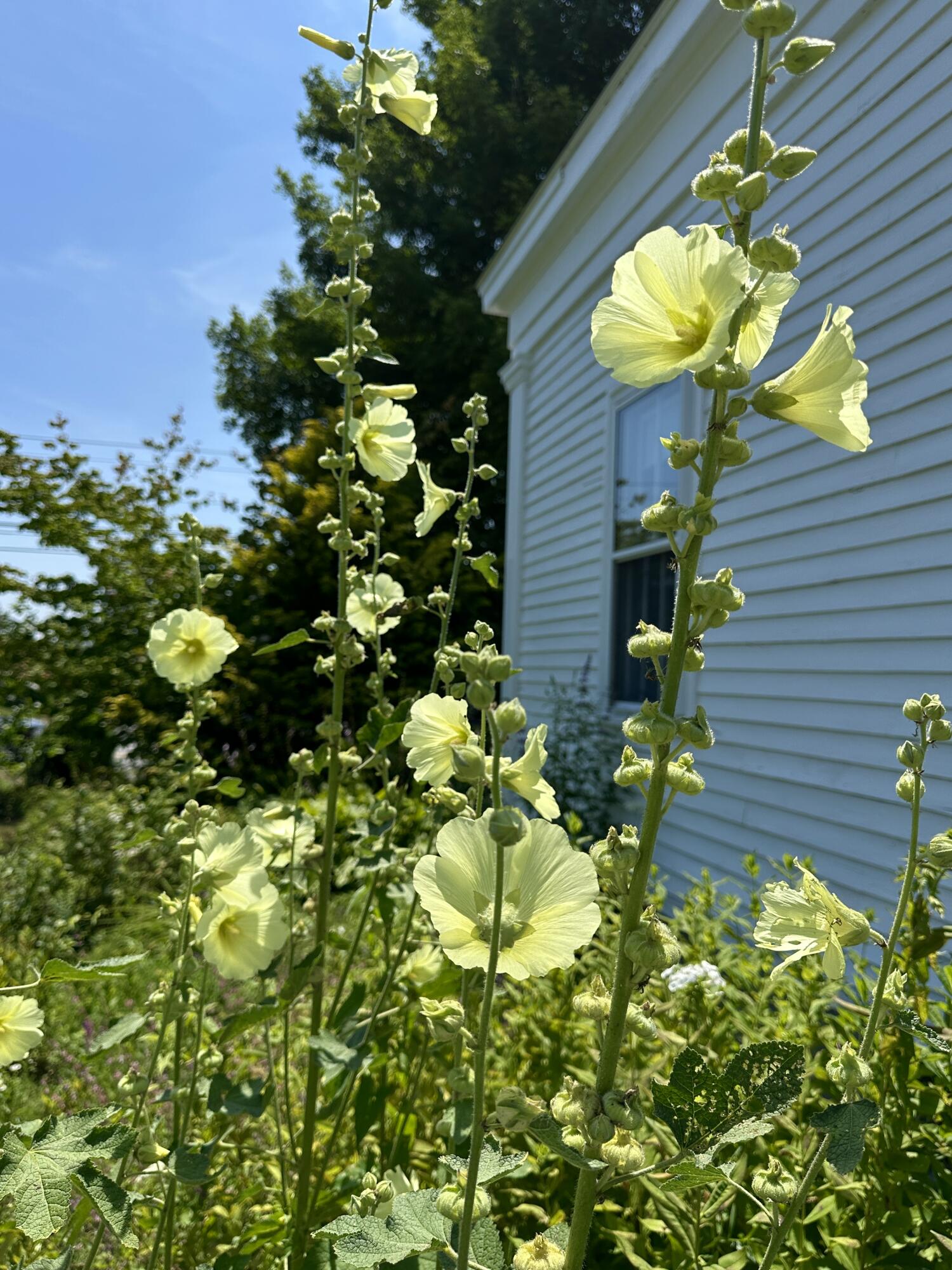 main property photo 103