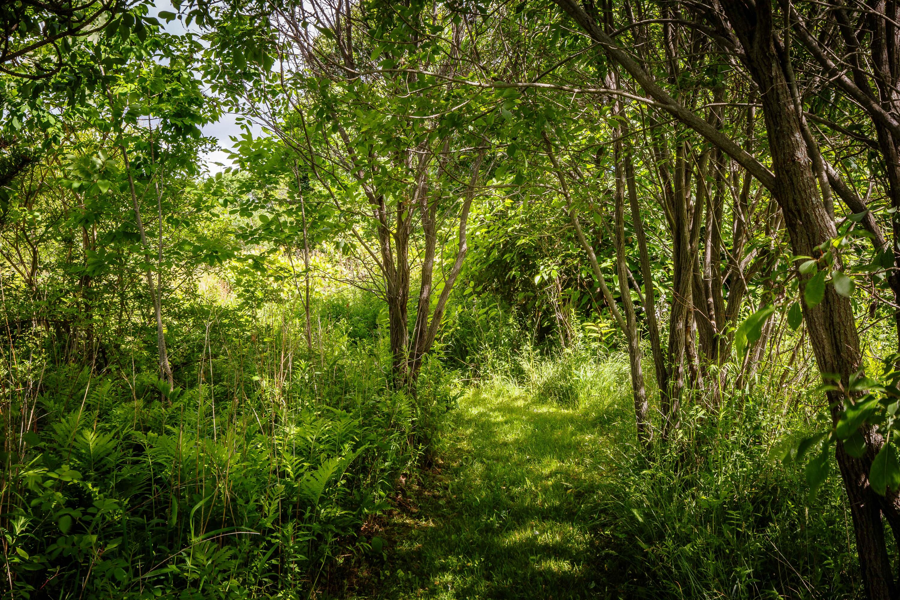 main property photo 54
