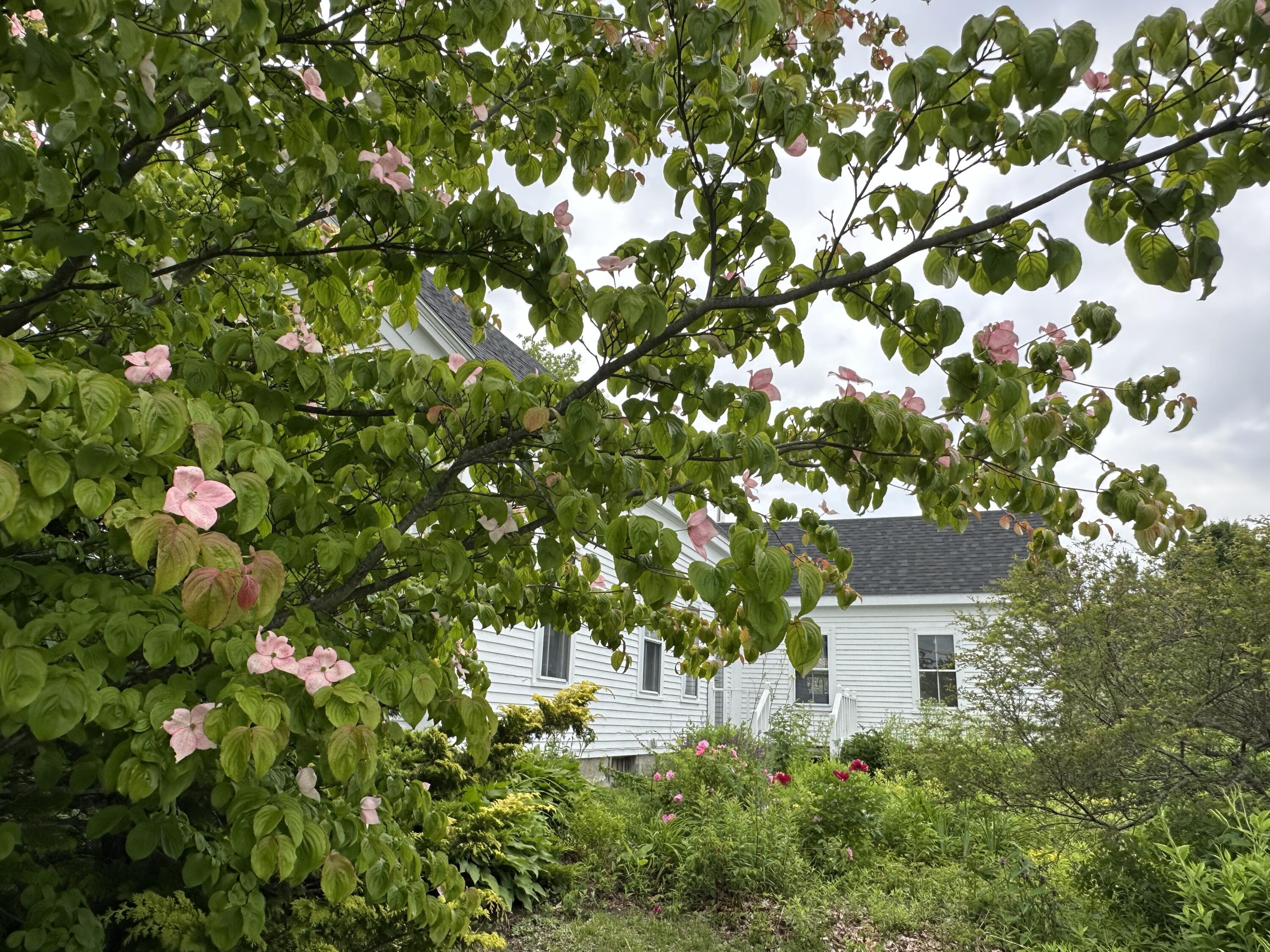 main property photo 68