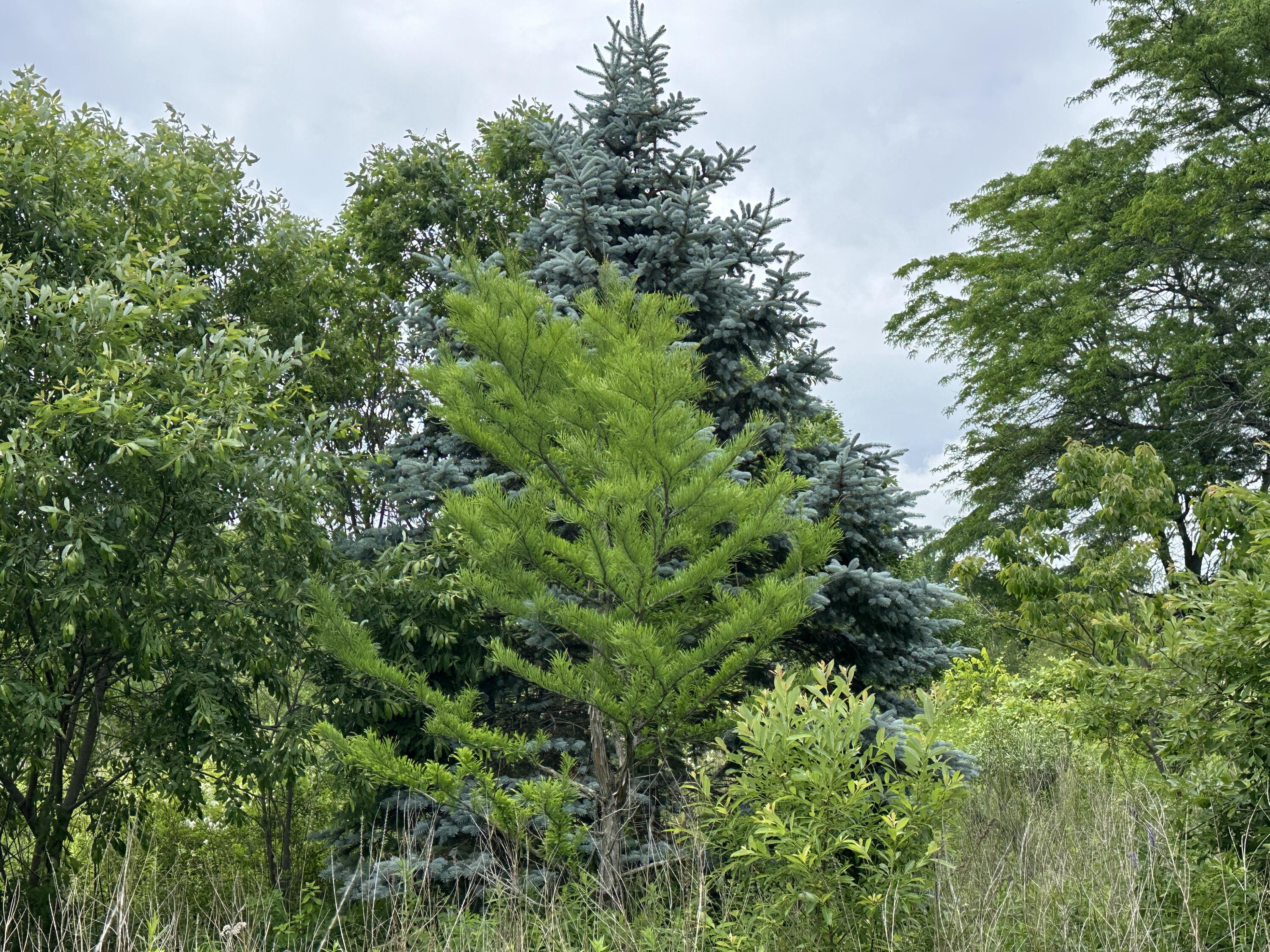 main property photo 71