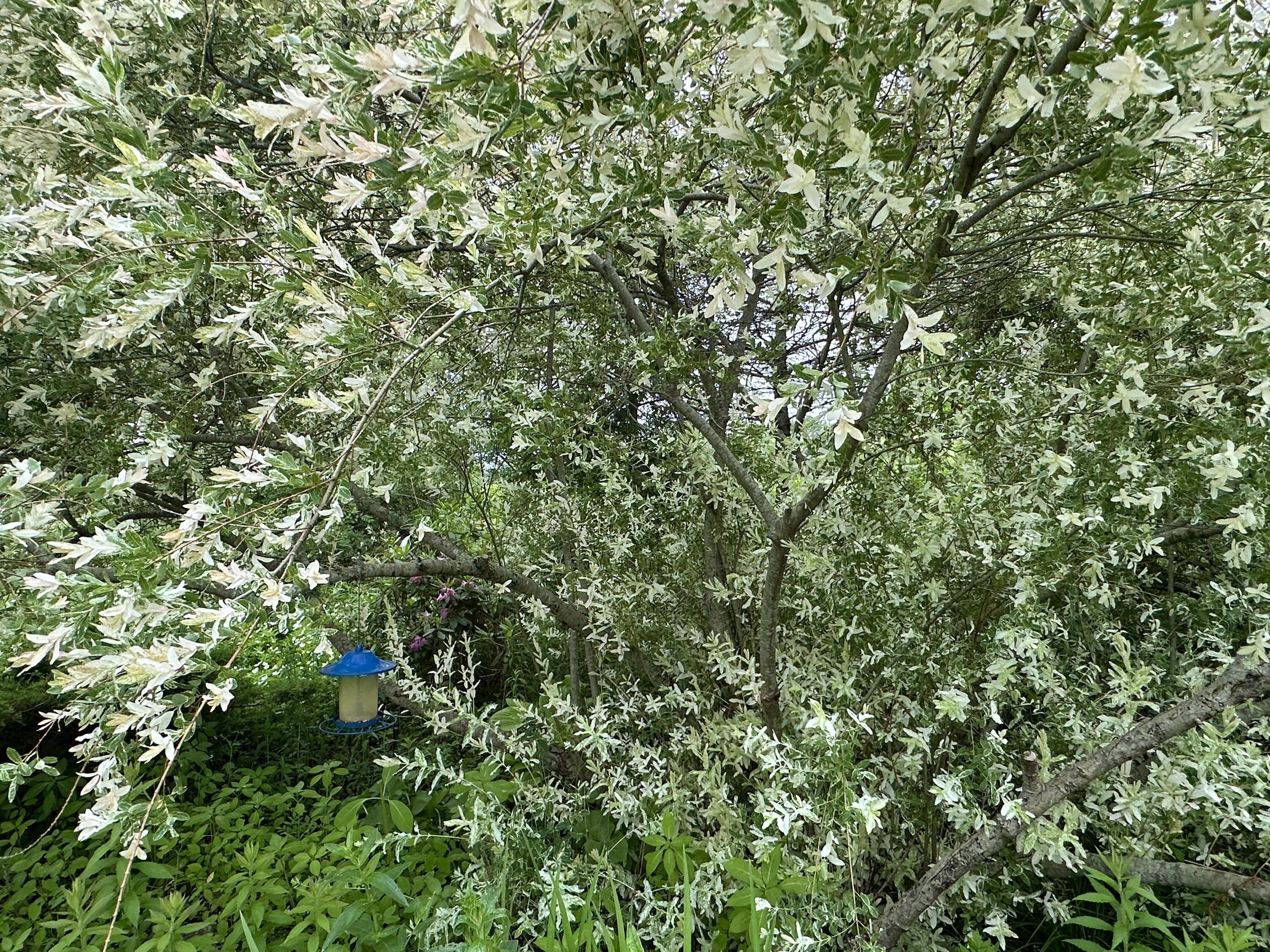 main property photo 73