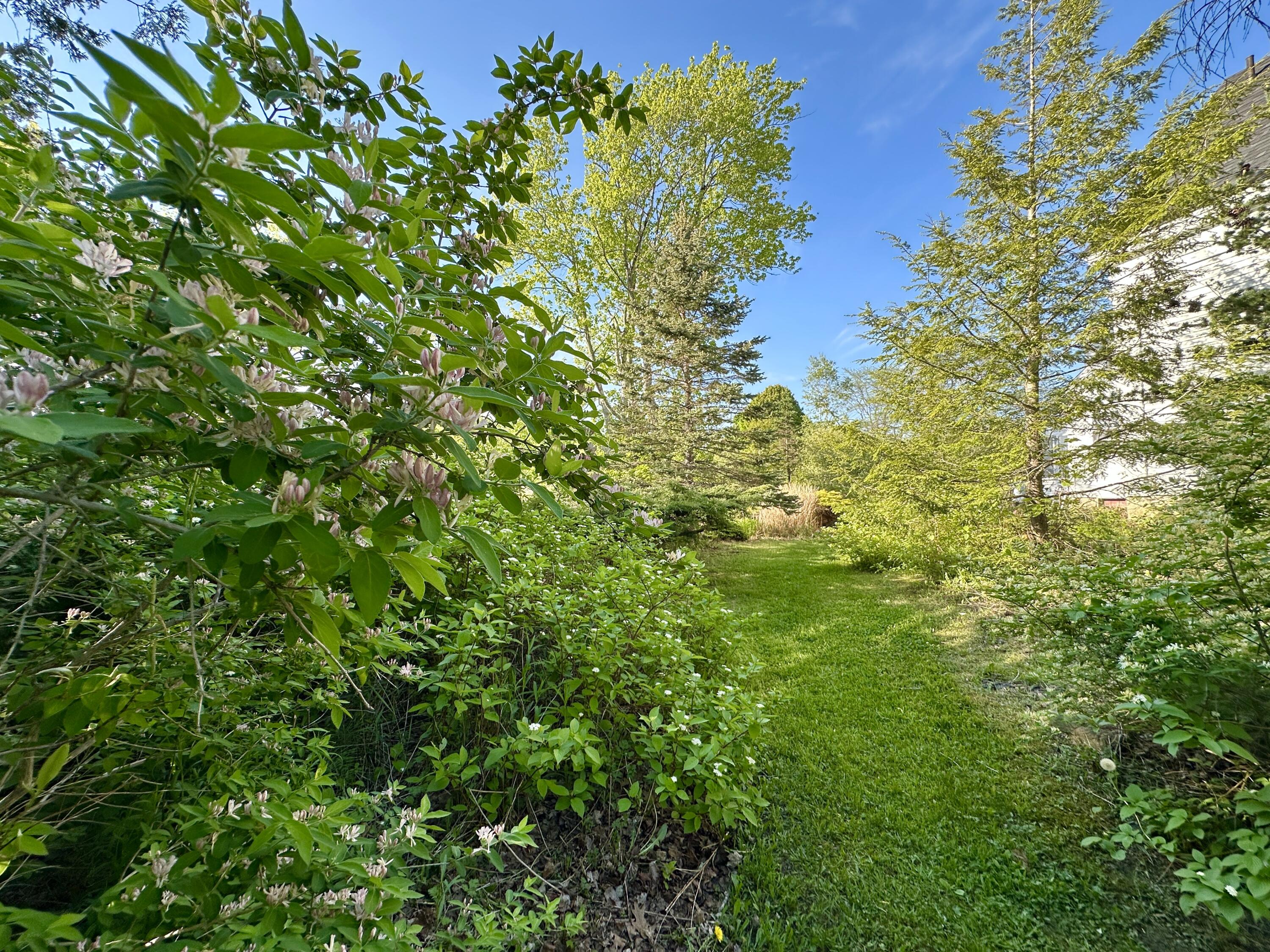 main property photo 84