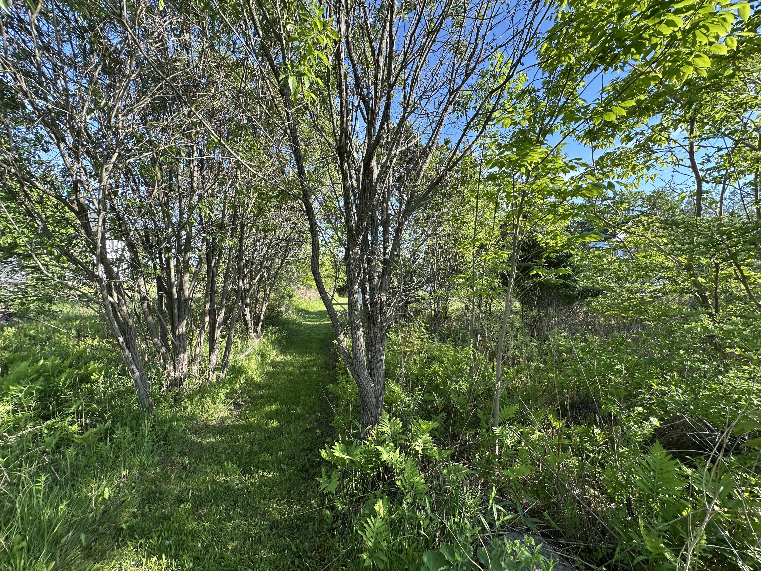 main property photo 92