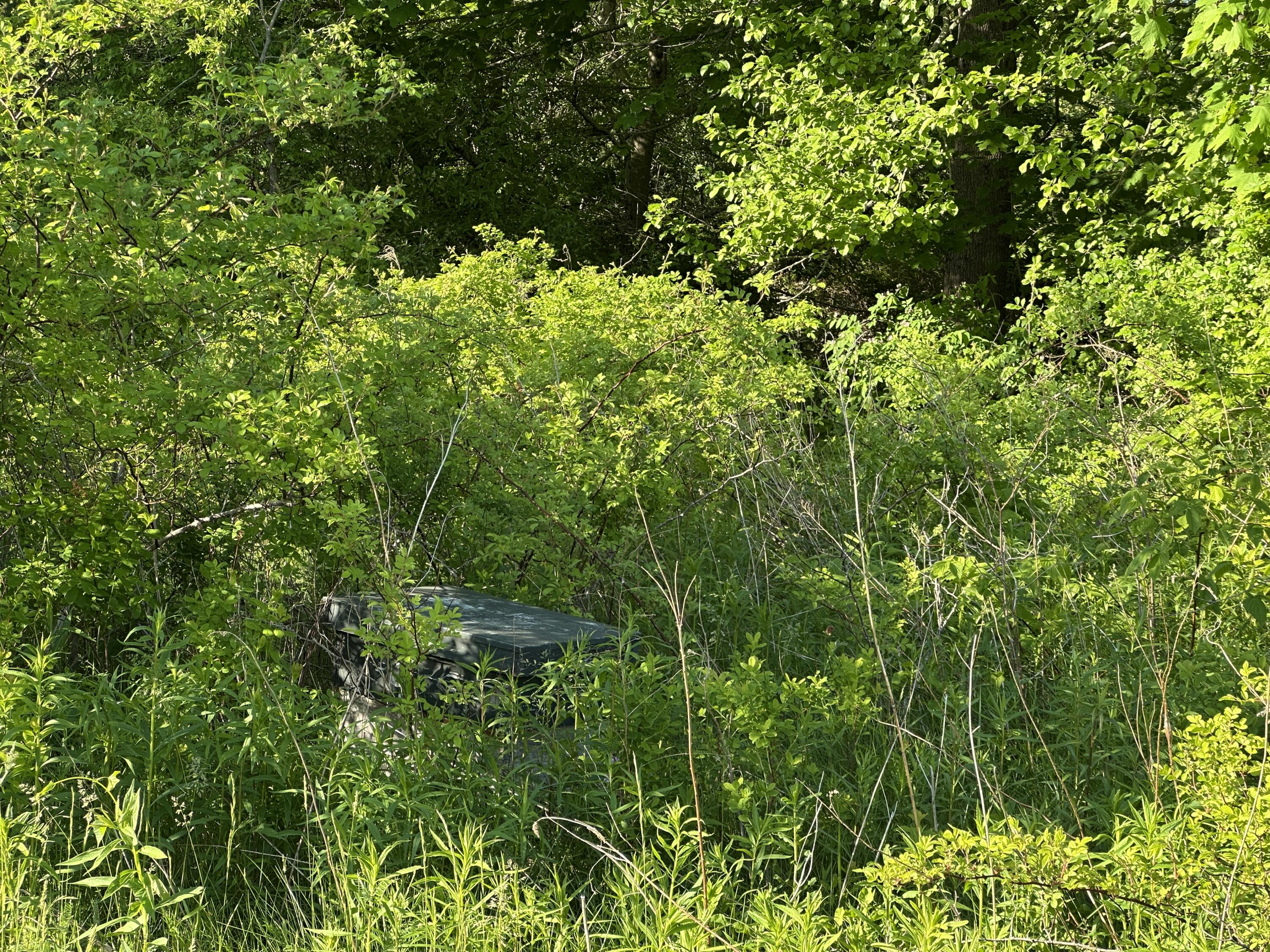 main property photo 96