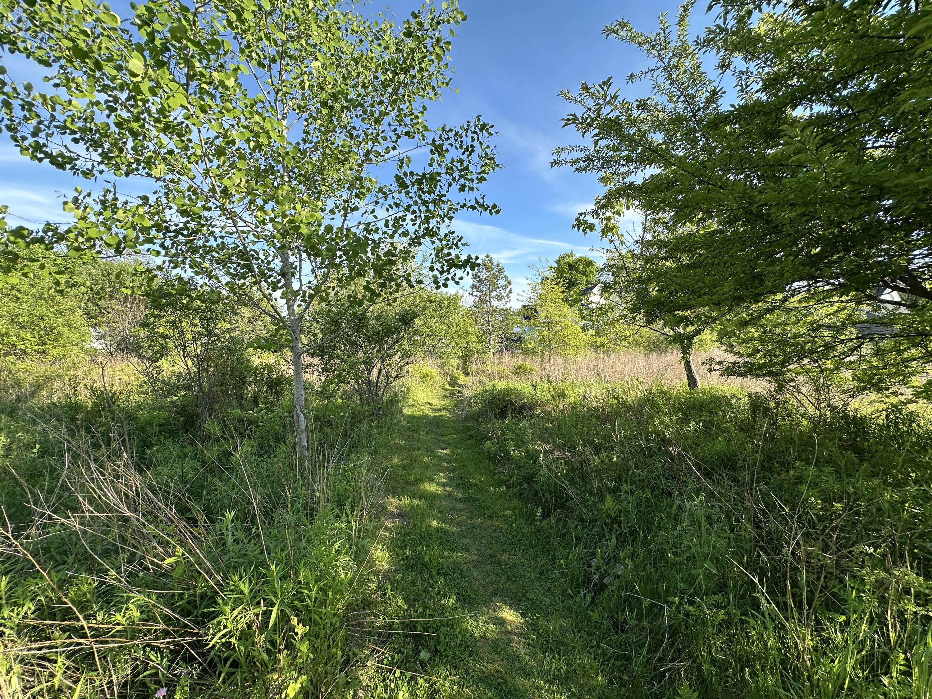 main property photo 98