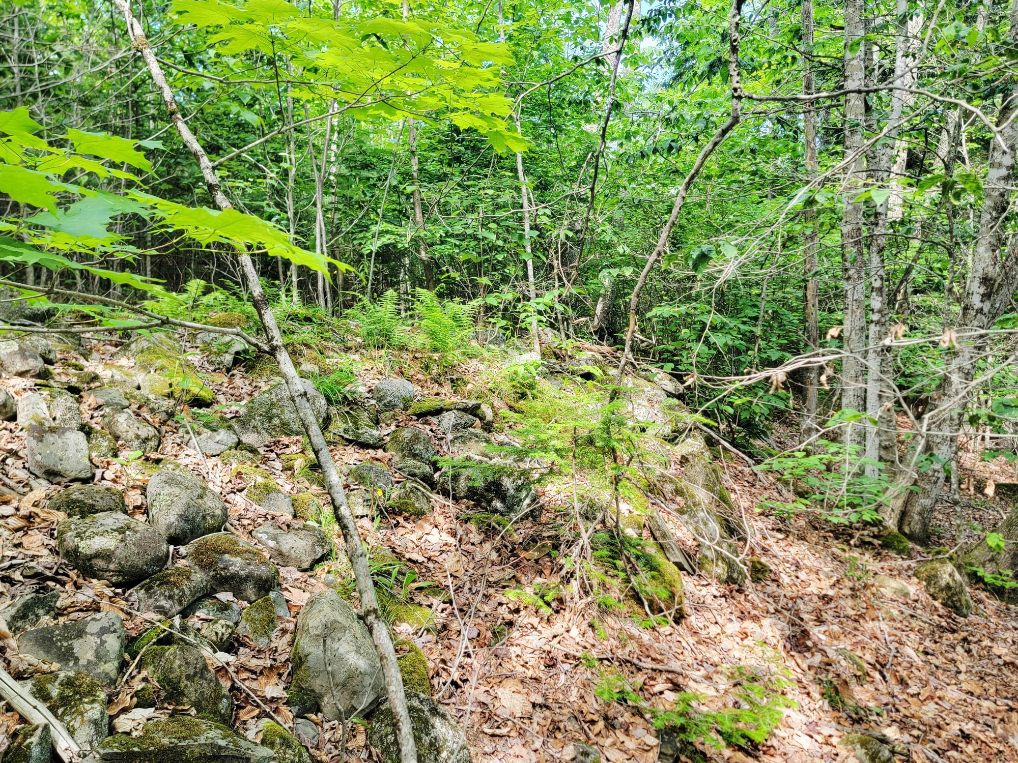 main property photo 14