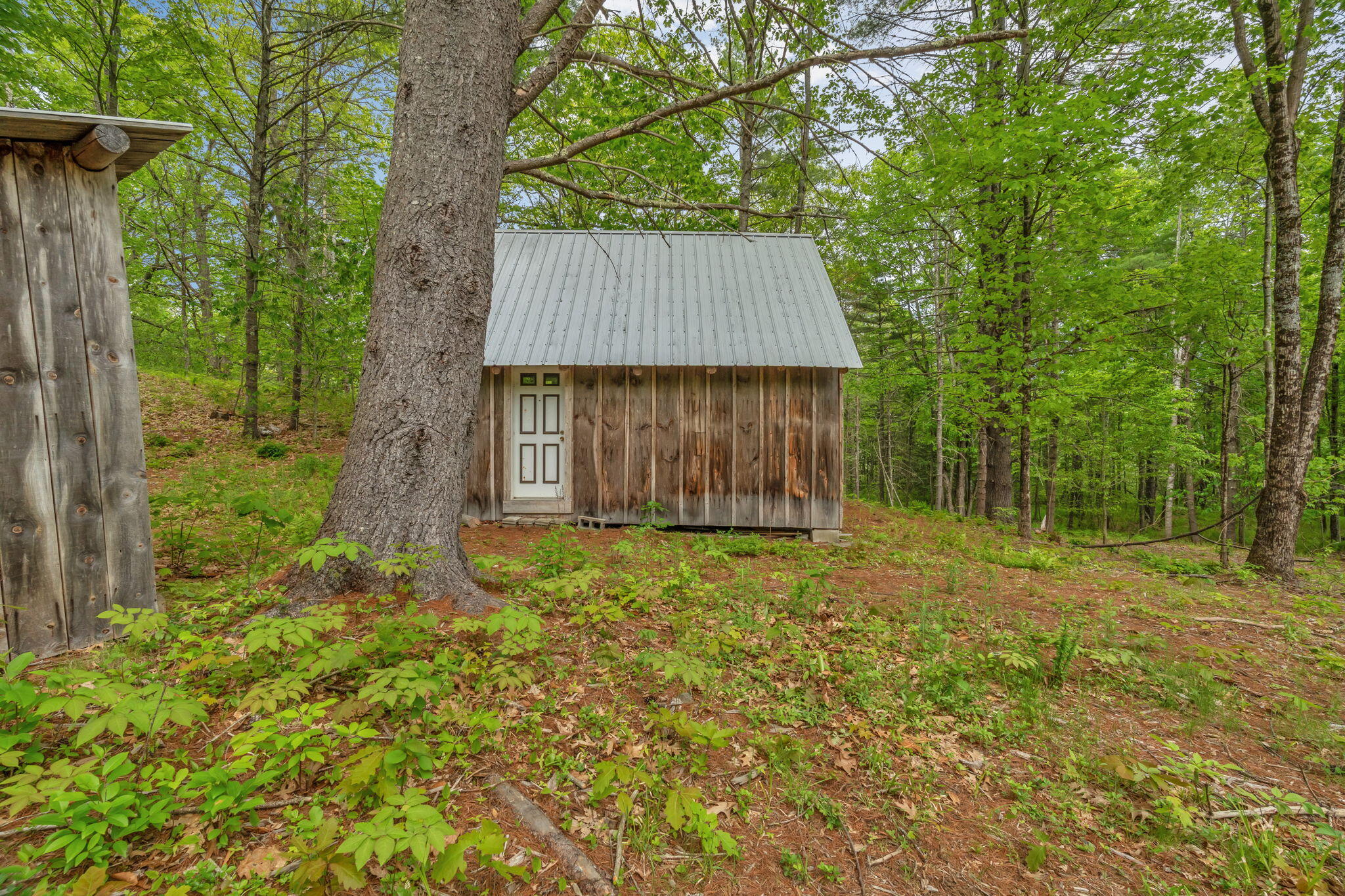 main property photo 53