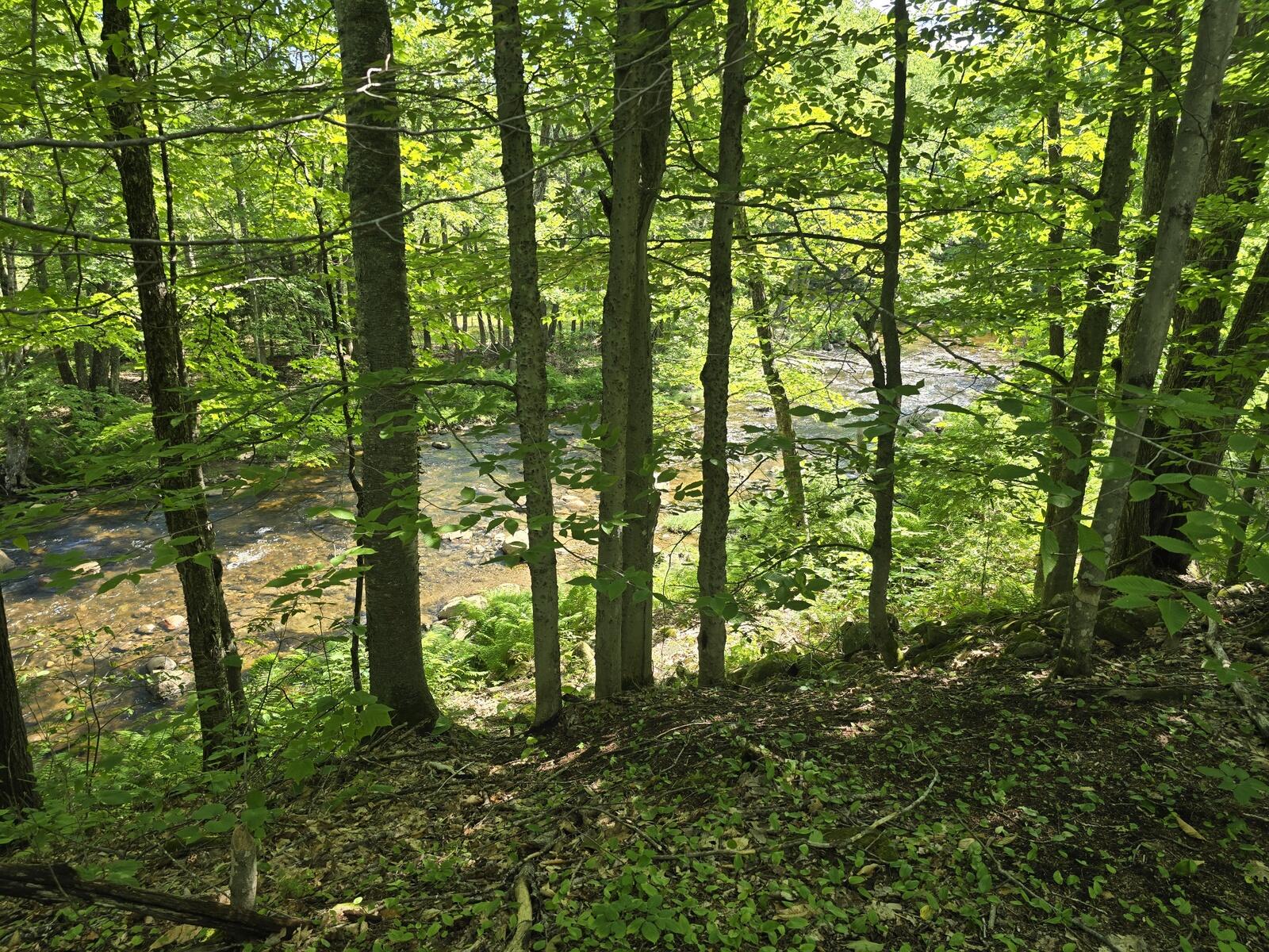 main property photo 9