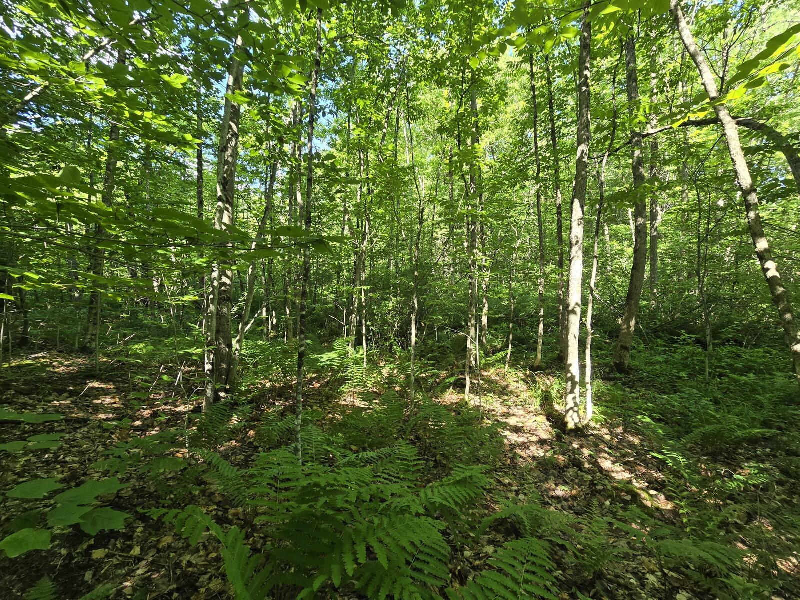 main property photo 11