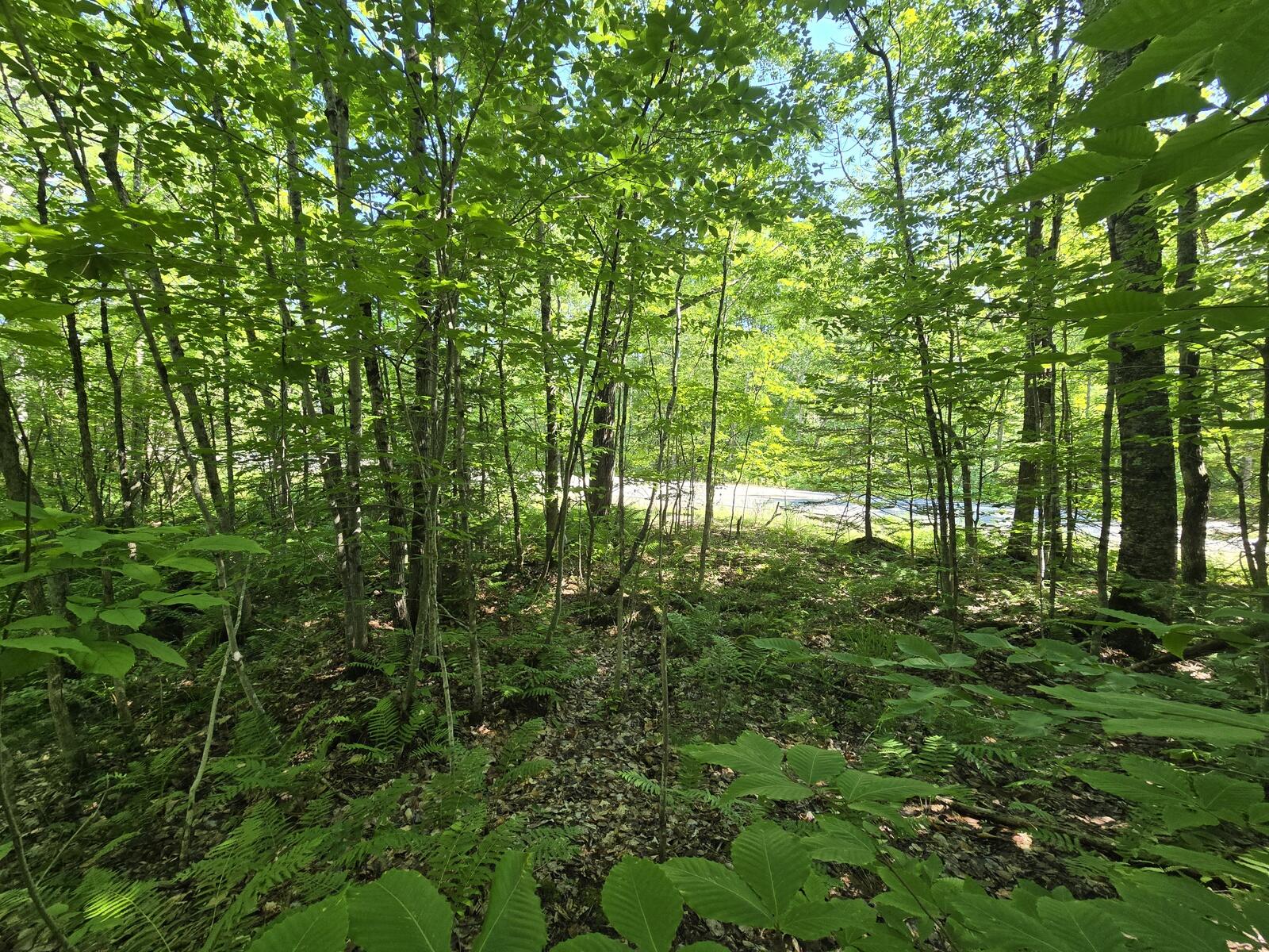 main property photo 12