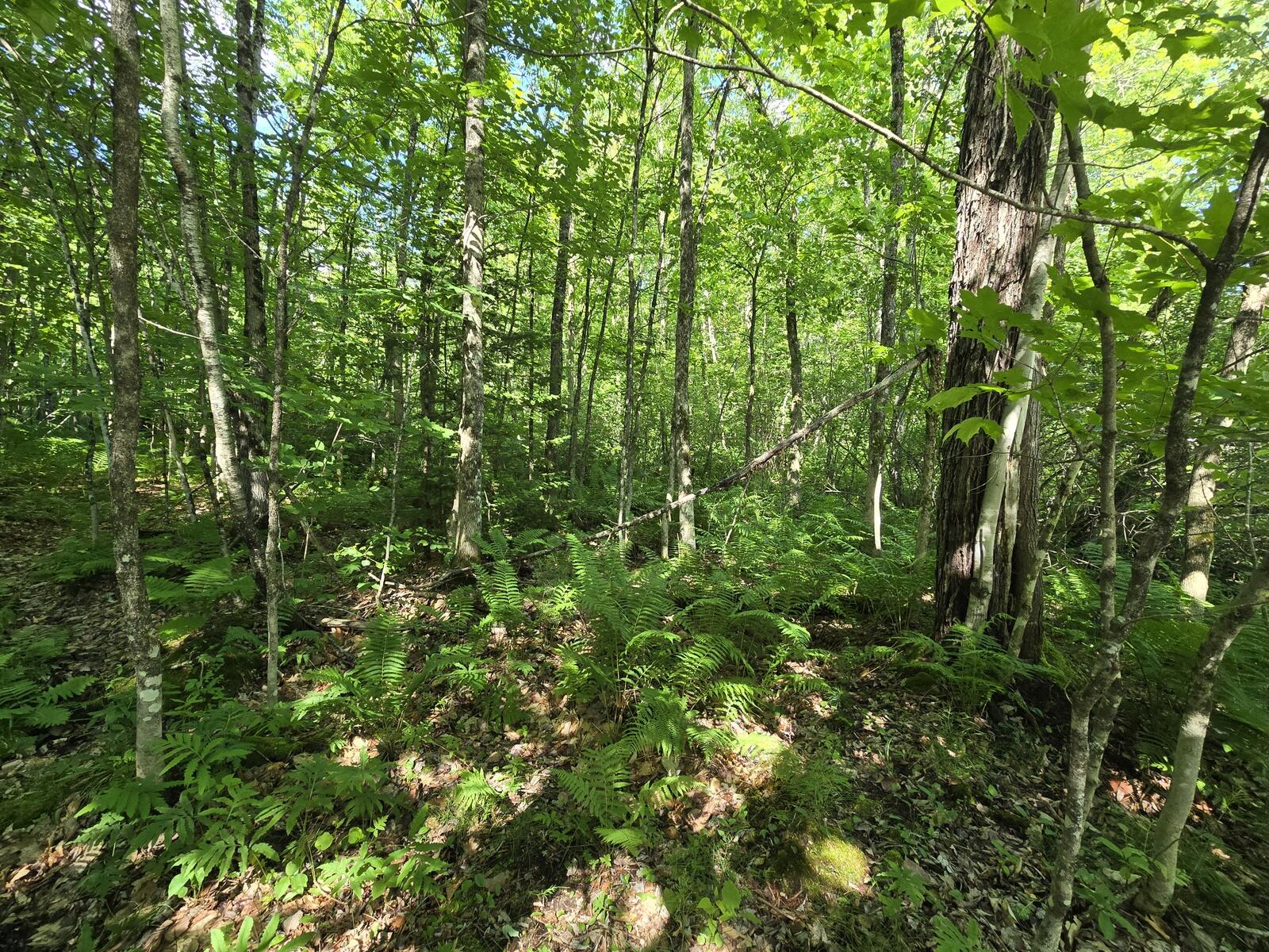 main property photo 14