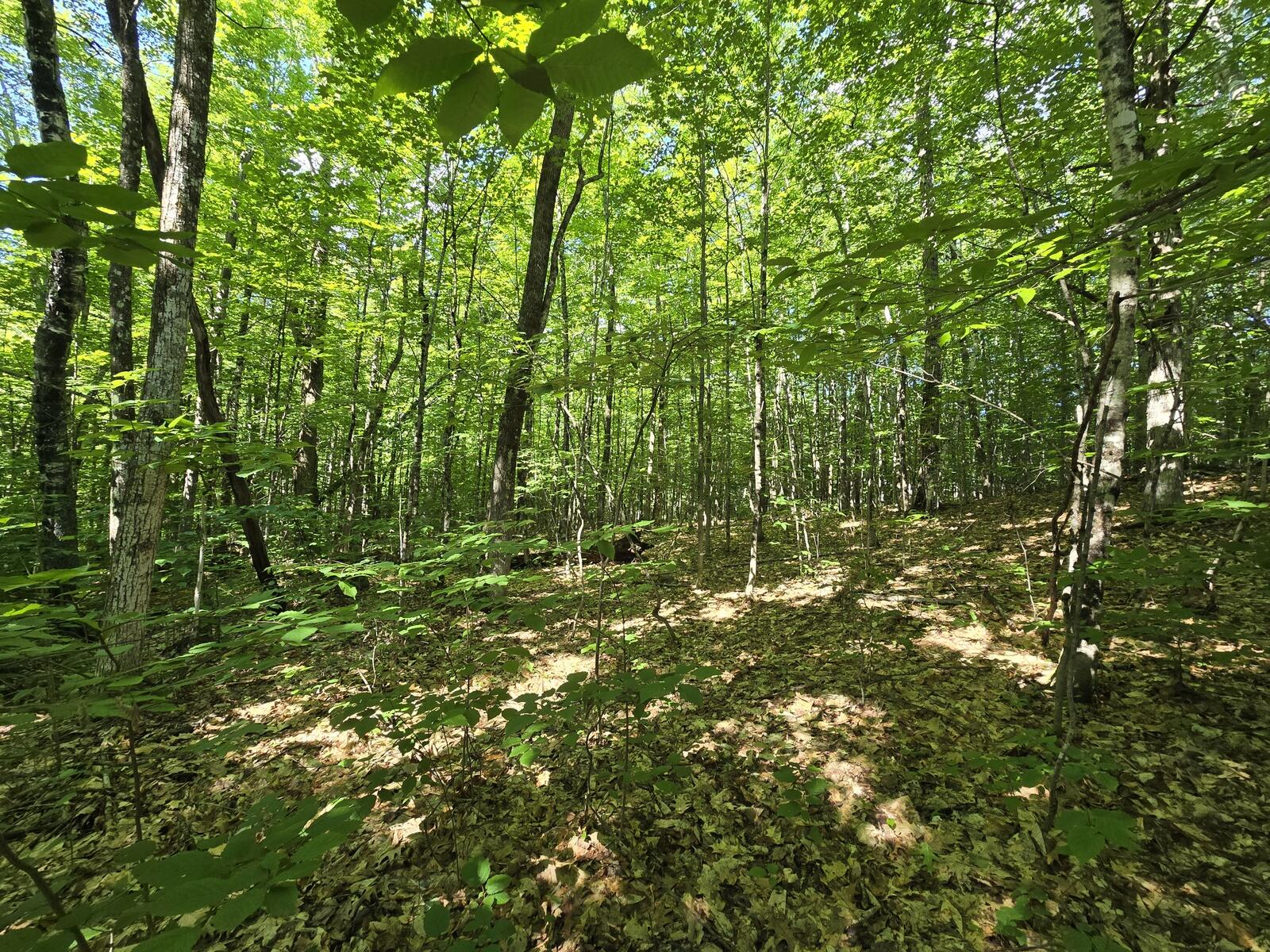 main property photo 18