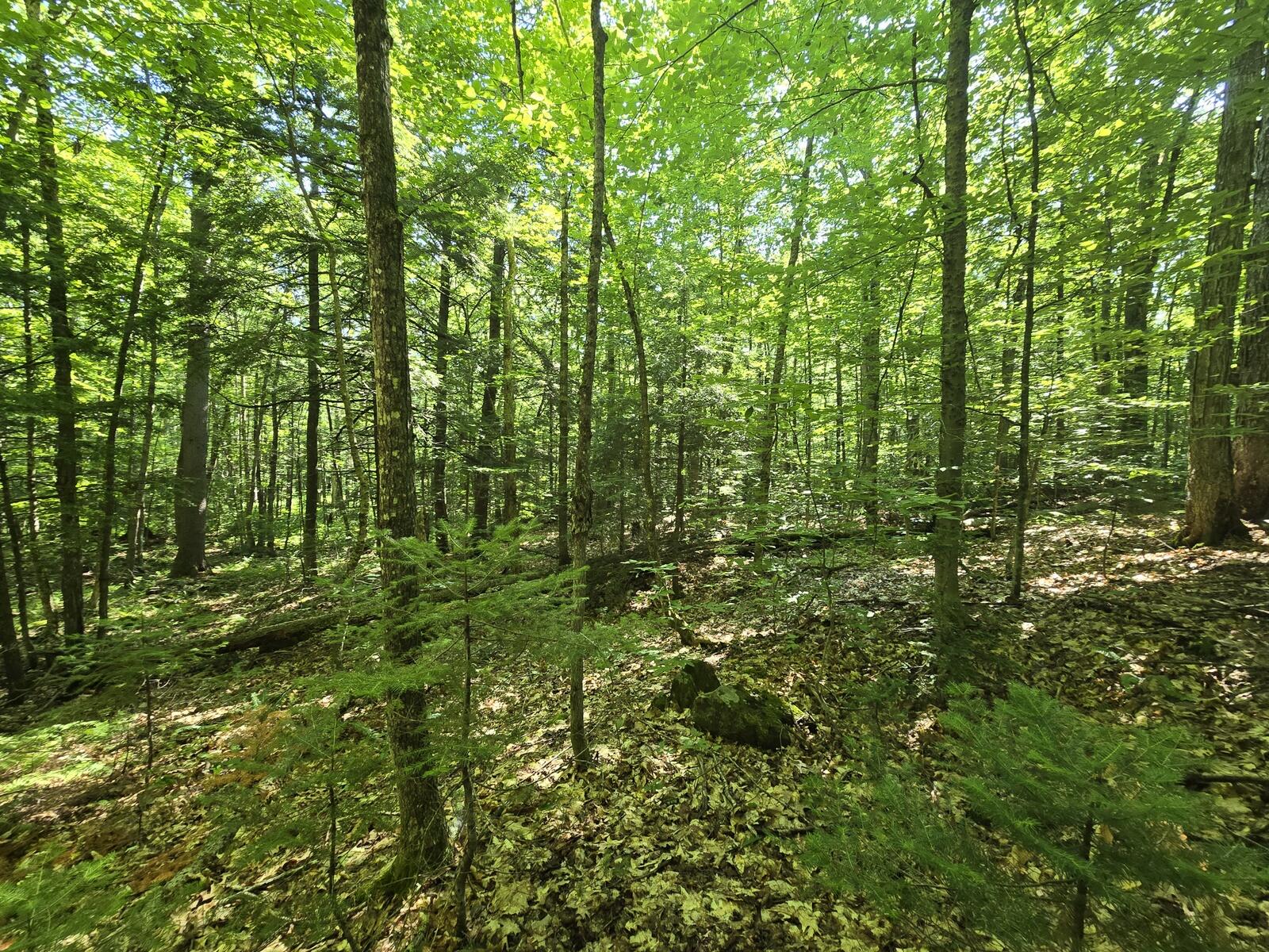 main property photo 13