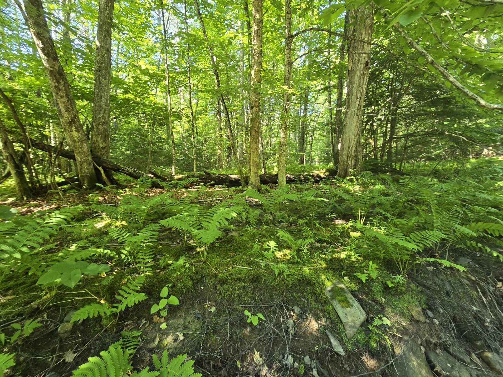 main property photo 32