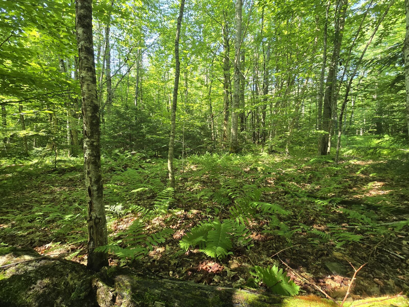main property photo 33