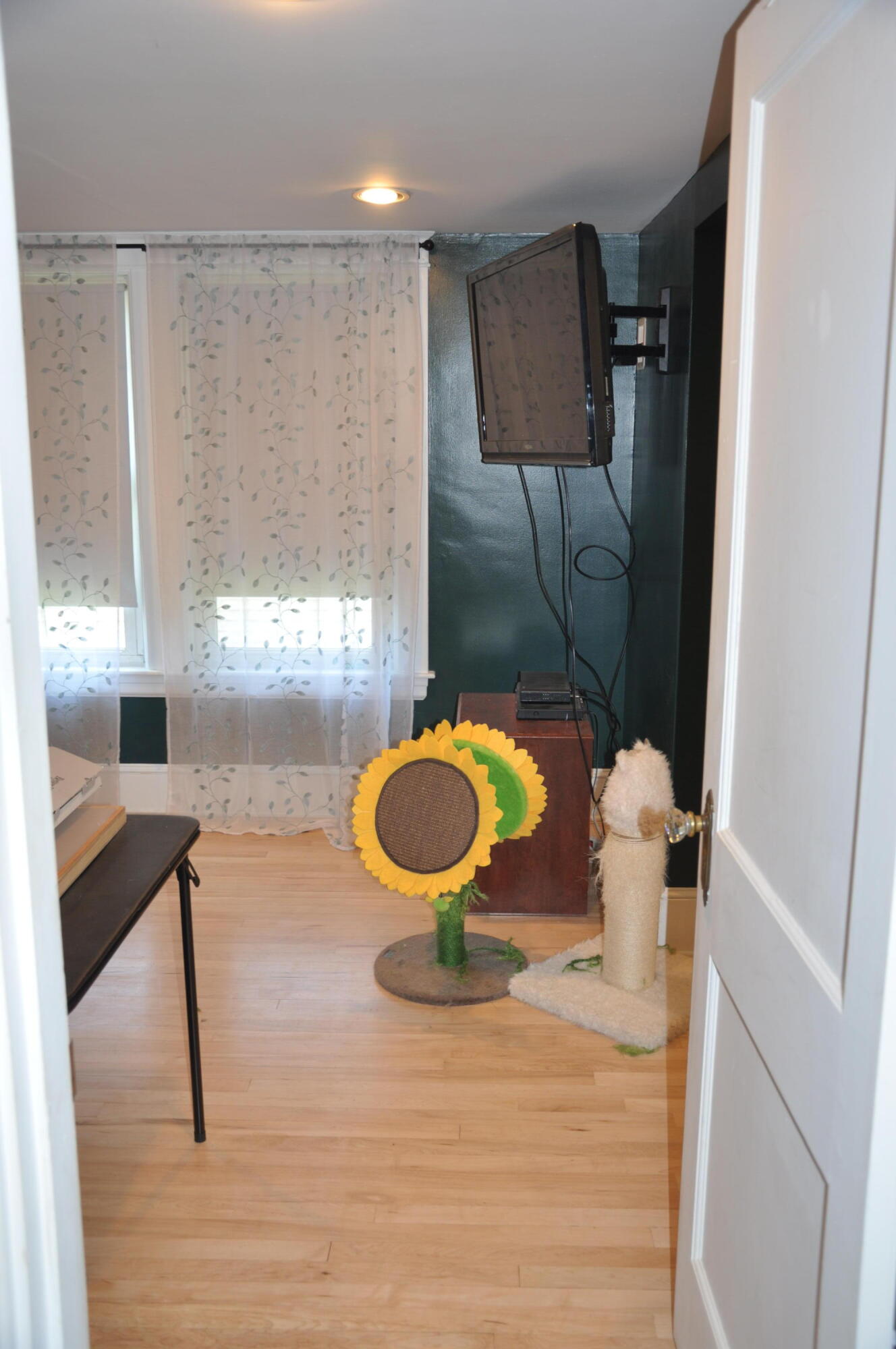 main property photo 43