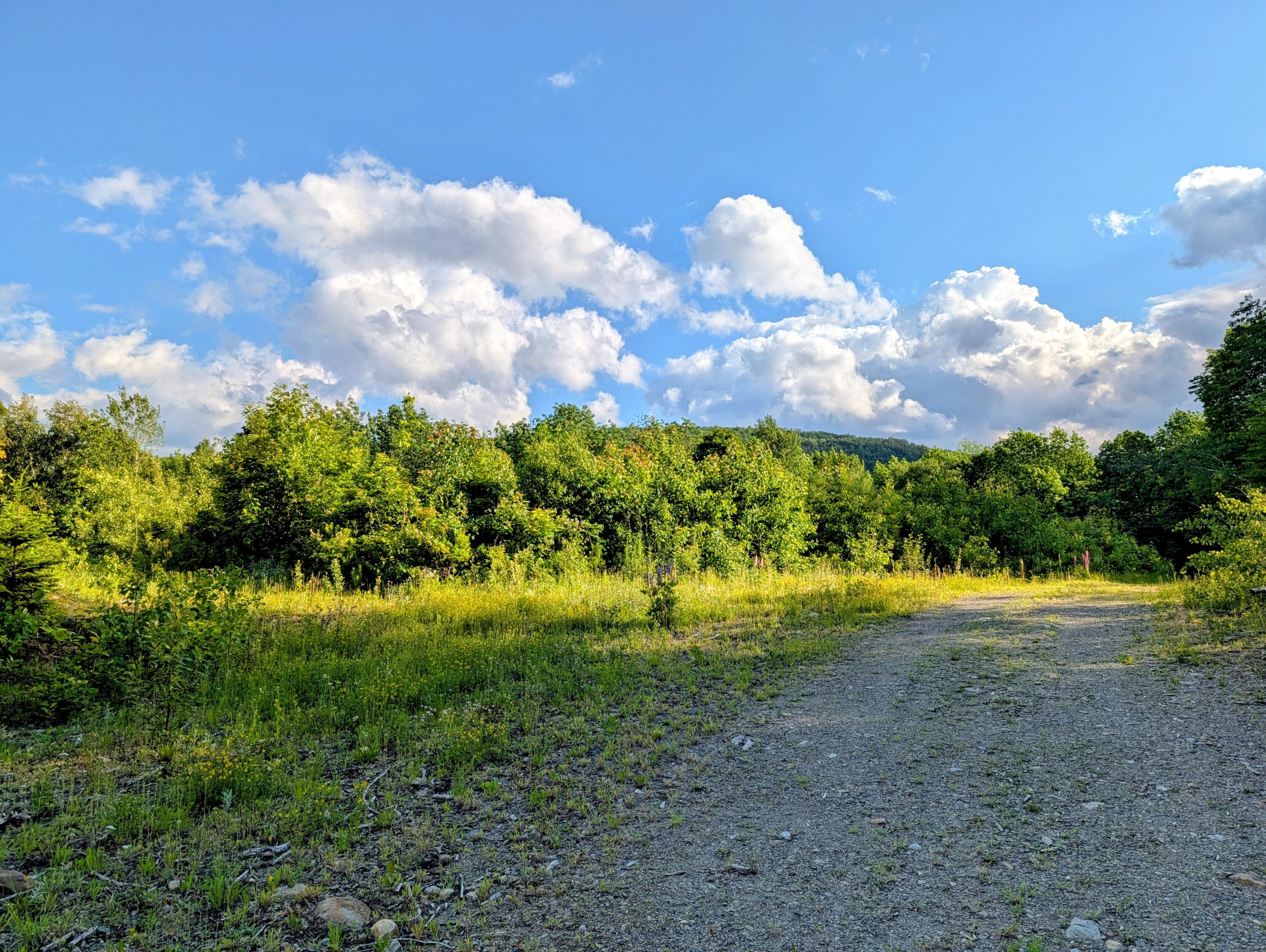 main property photo 55