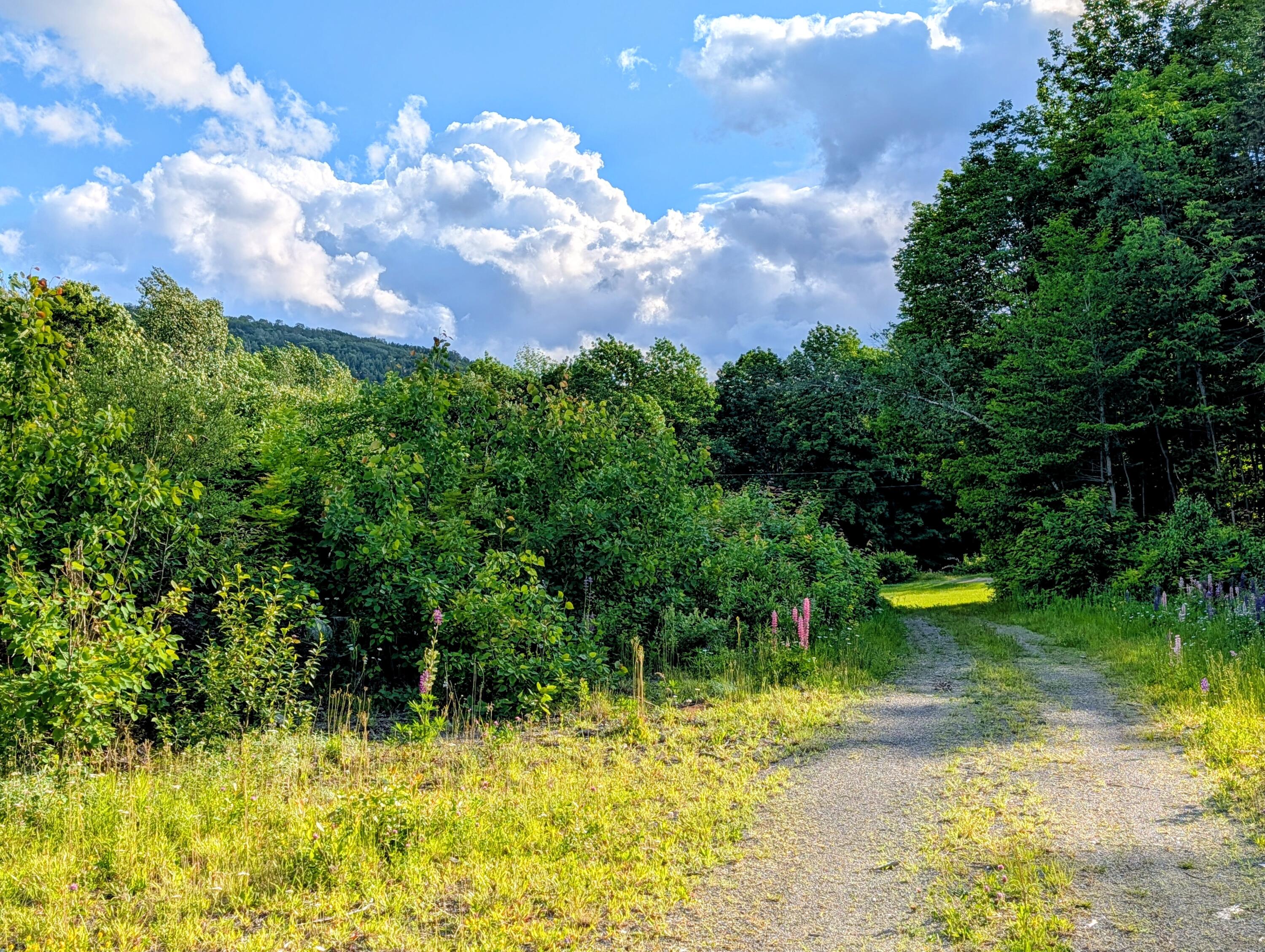 main property photo 56